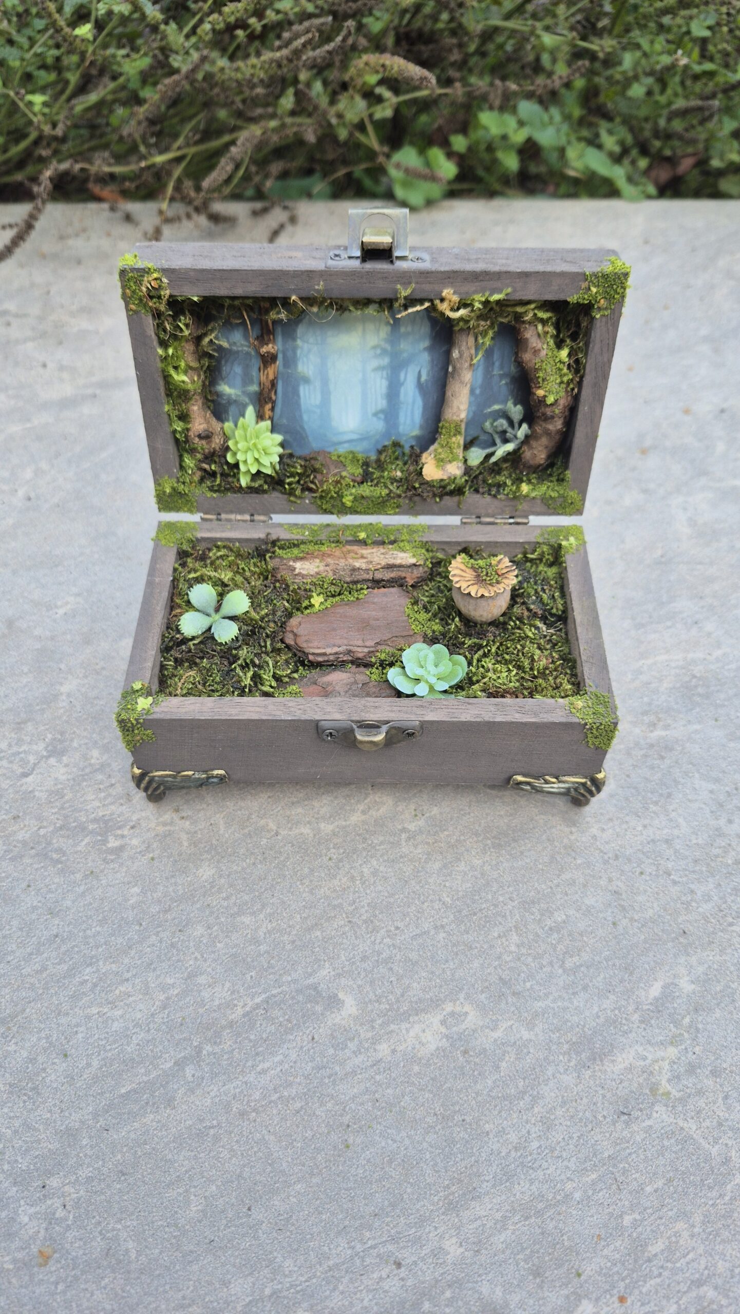 Hidden Forest Box - Image 2
