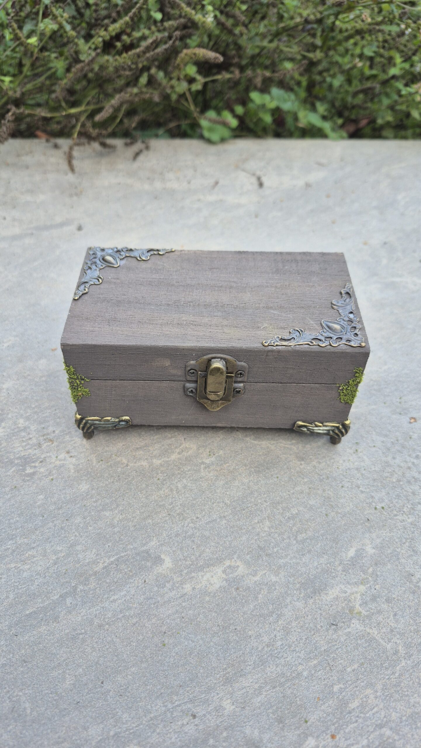 Hidden Forest Box - Image 11