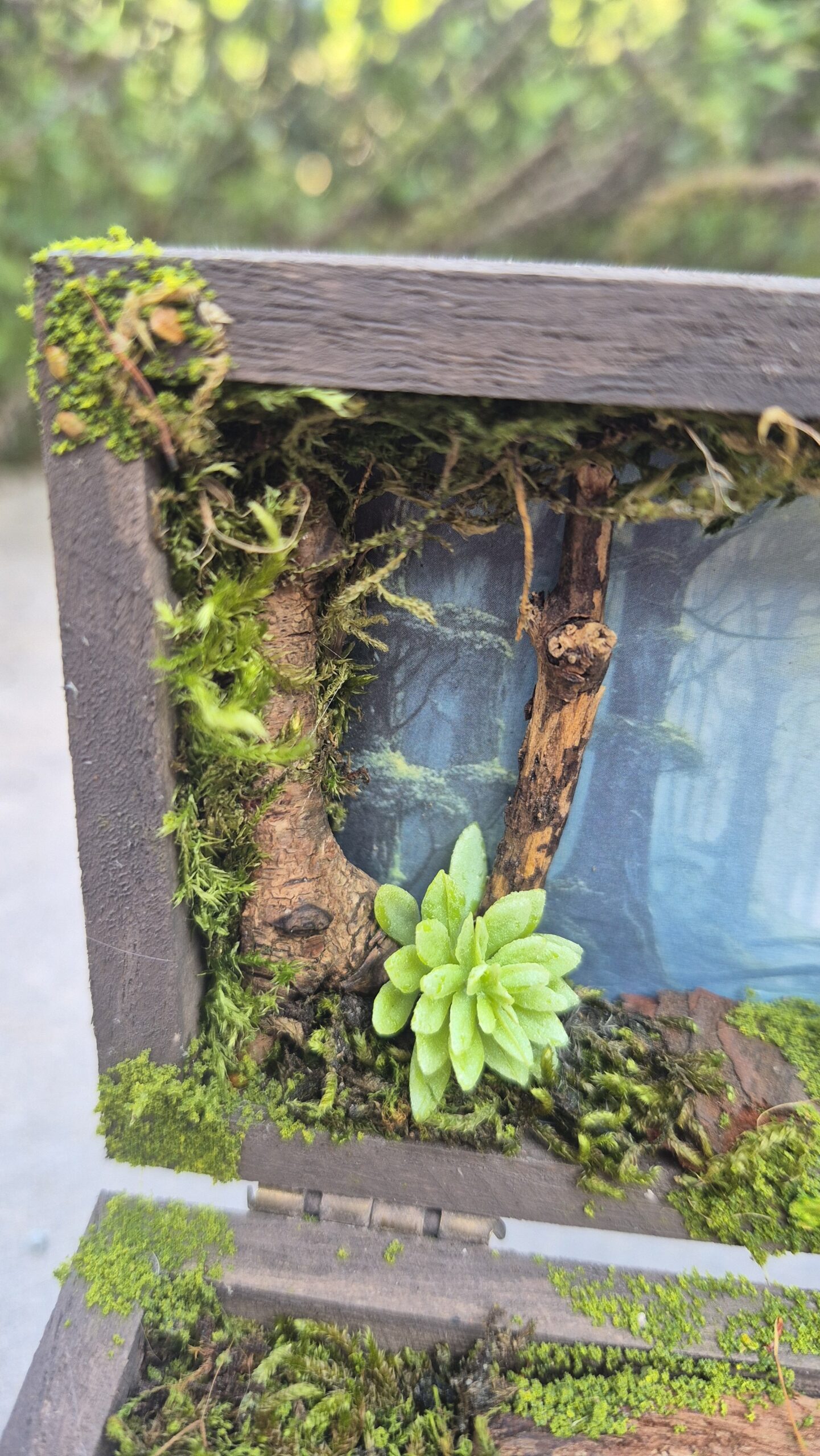 Hidden Forest Box - Image 3