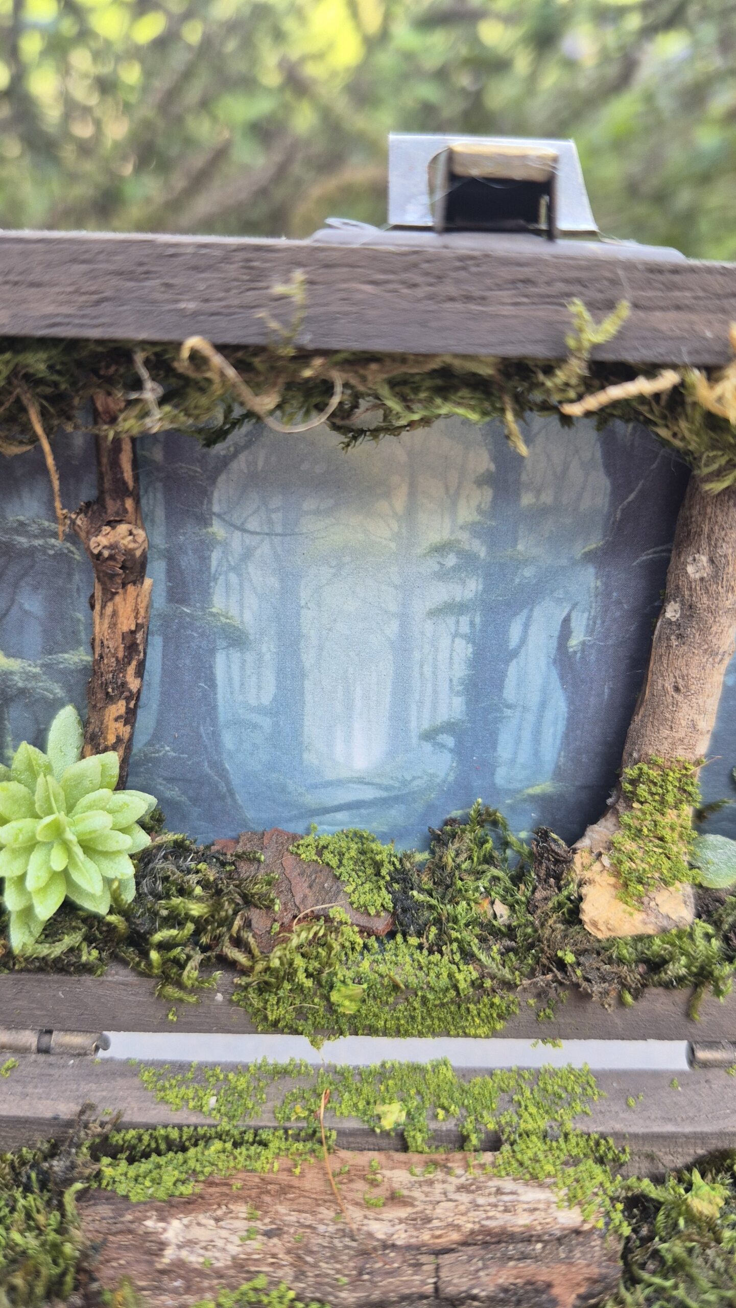Hidden Forest Box - Image 4