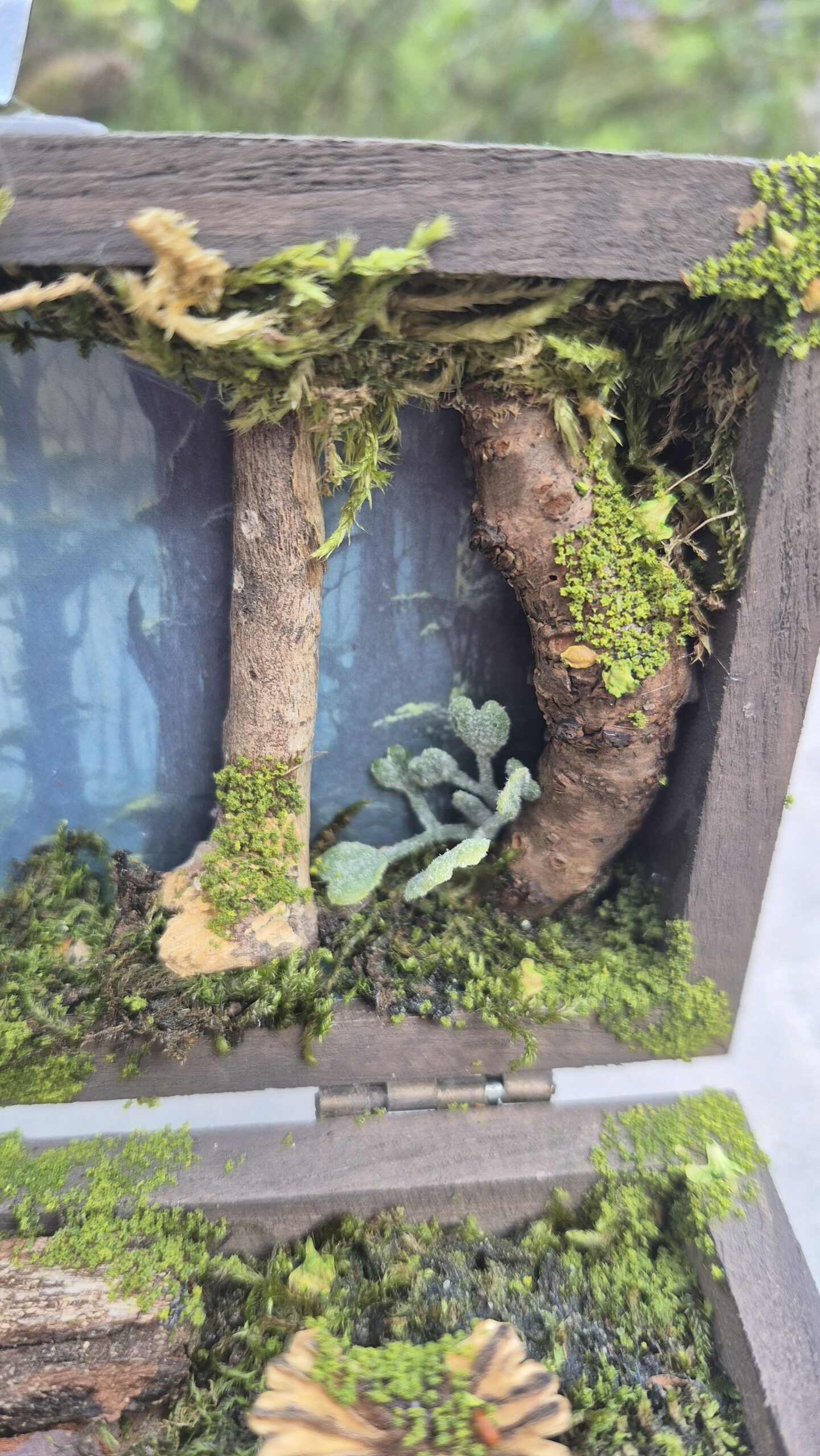 Hidden Forest Box - Image 5
