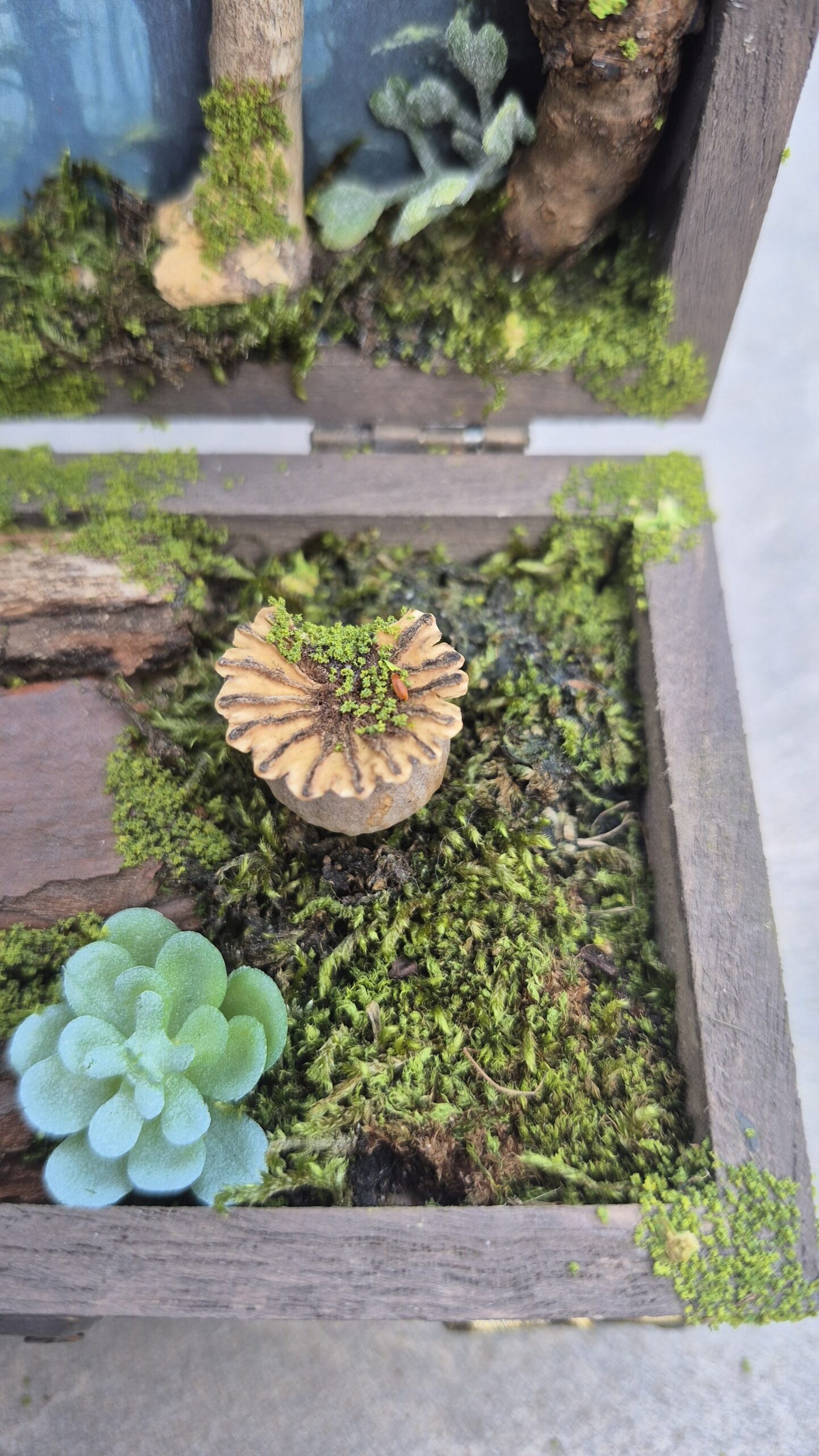 Hidden Forest Box - Image 8