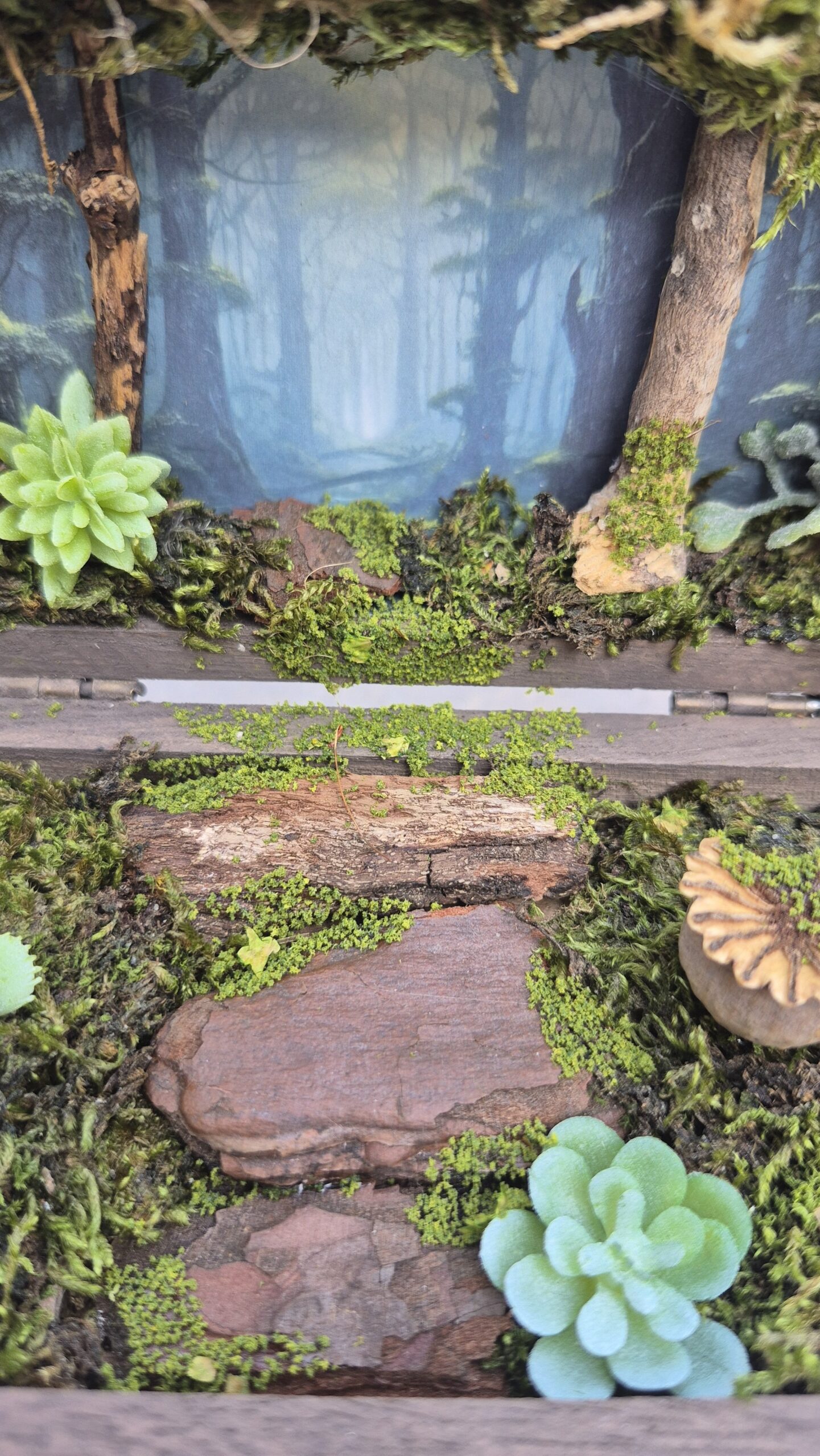Hidden Forest Box - Image 7