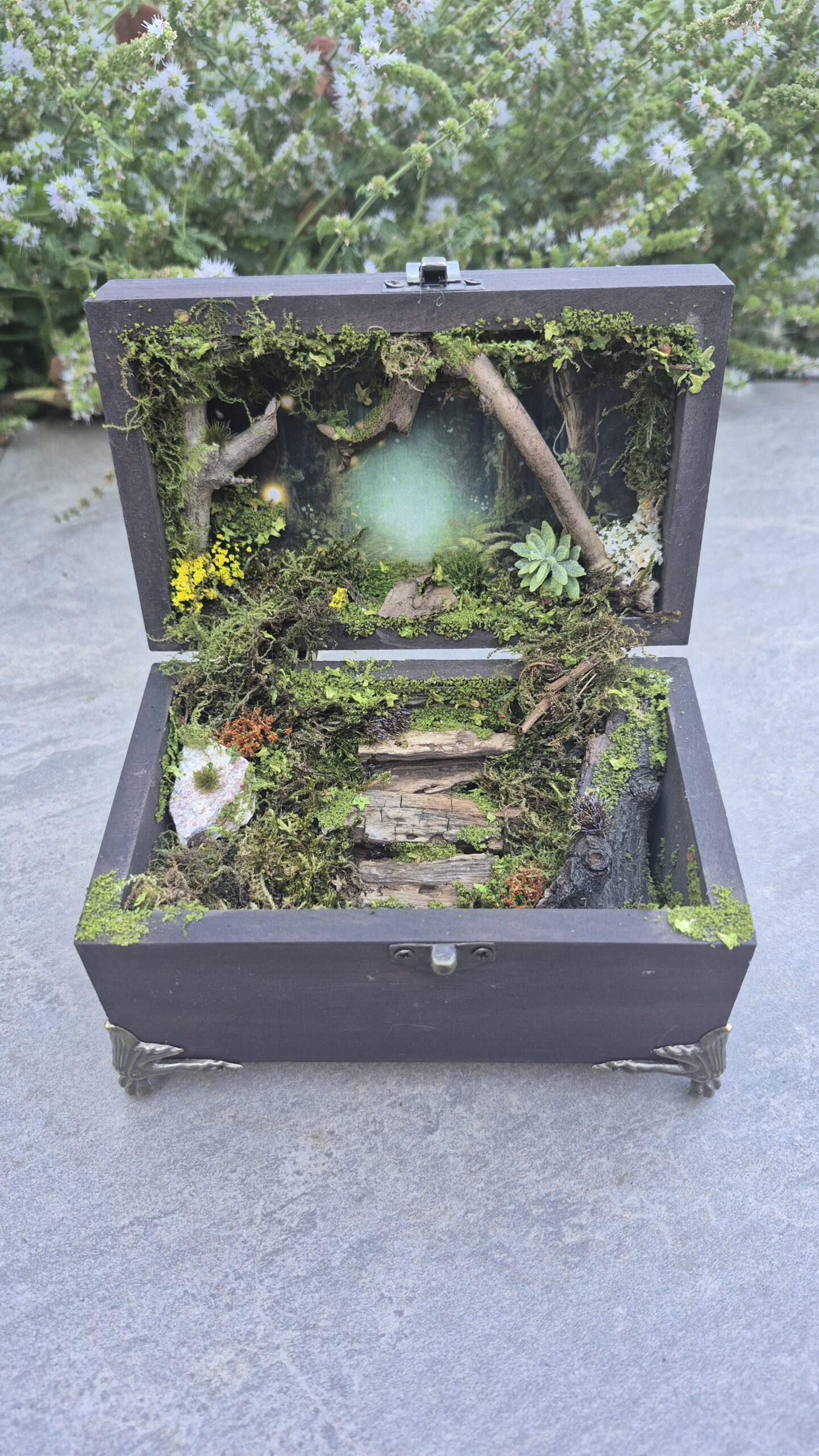 Hidden Forest Box (with lights) - Image 3