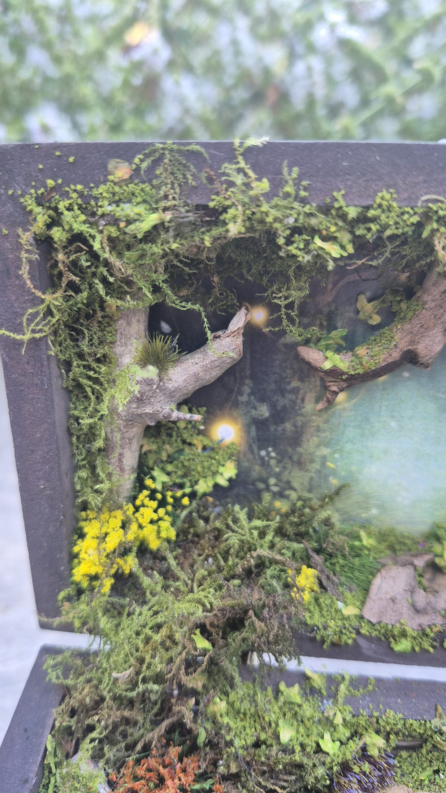 Hidden Forest Box (with lights) - Image 5