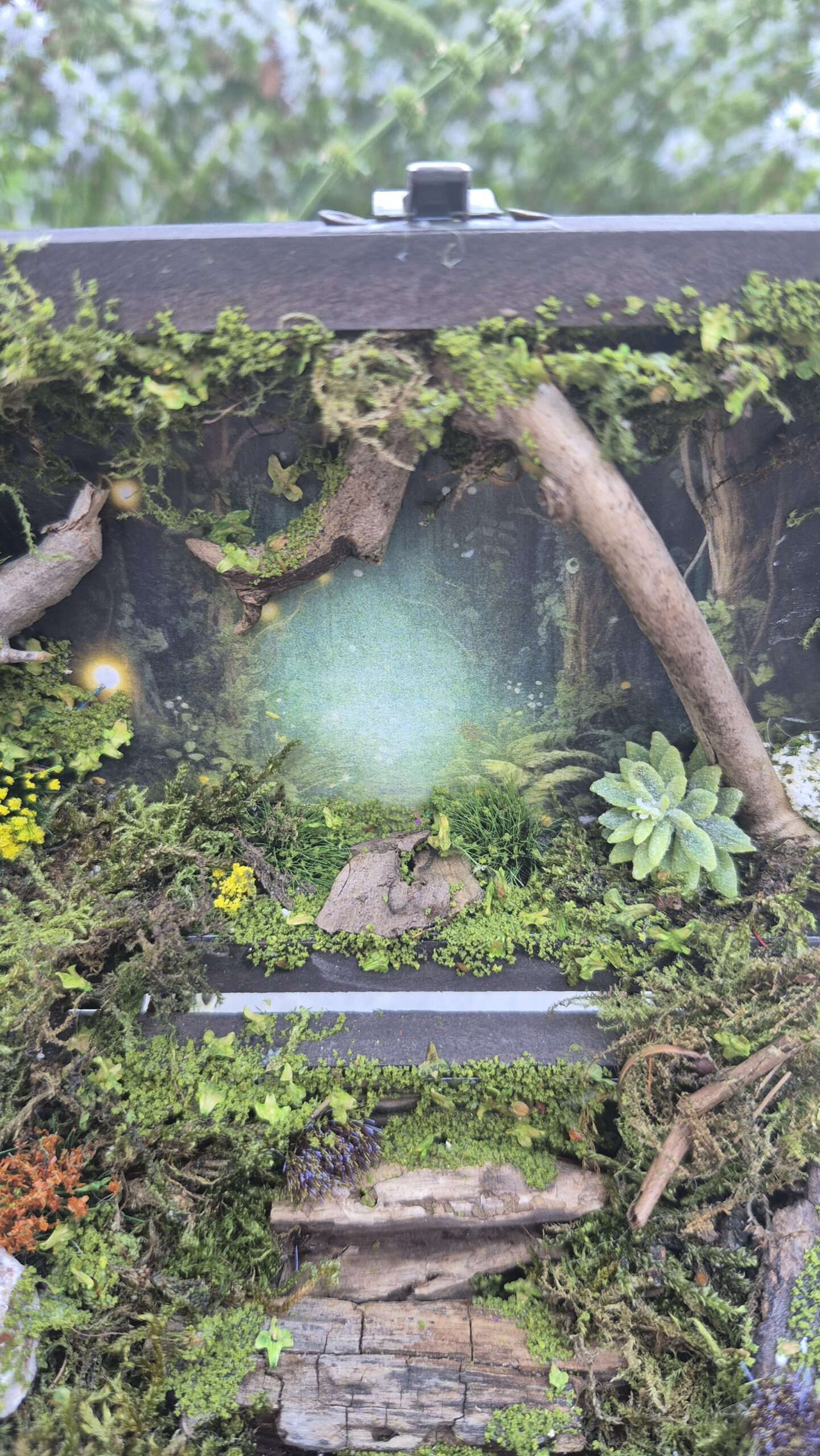 Hidden Forest Box (with lights) - Image 6