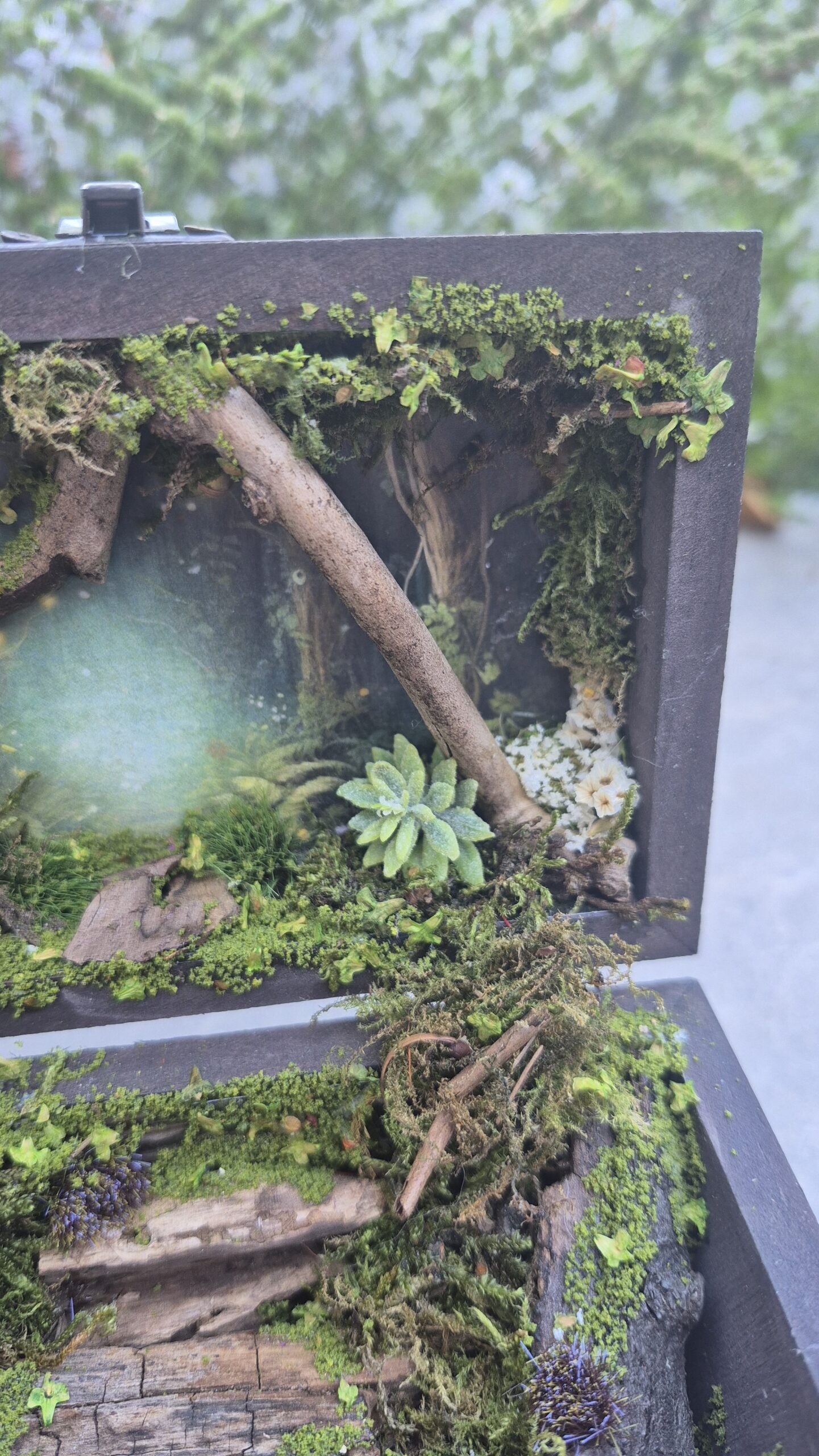 Hidden Forest Box (with lights) - Image 7