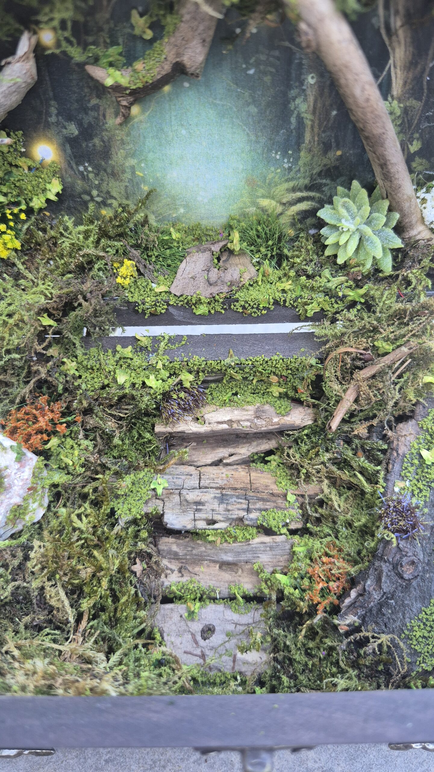 Hidden Forest Box (with lights) - Image 9