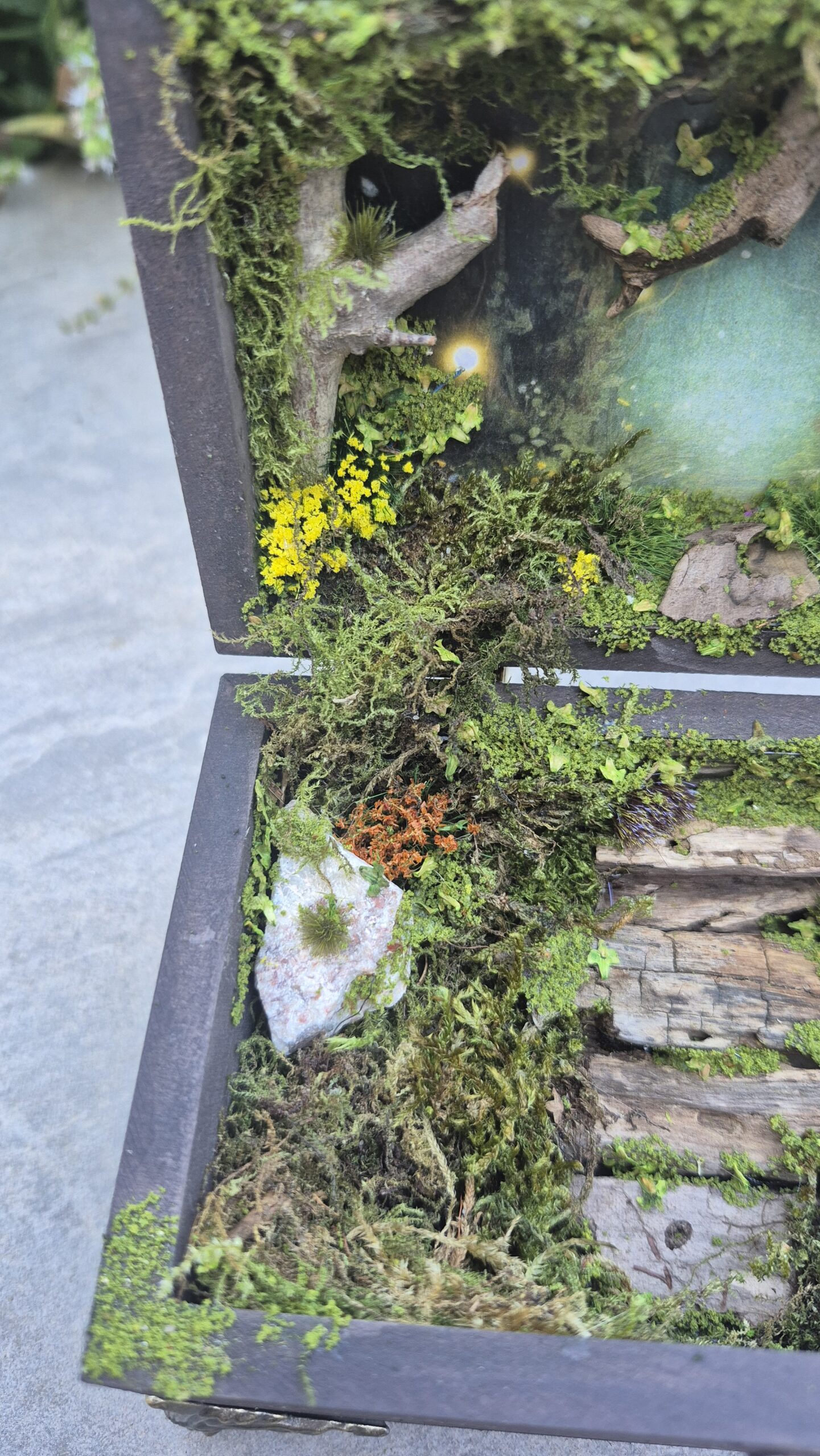 Hidden Forest Box (with lights) - Image 10