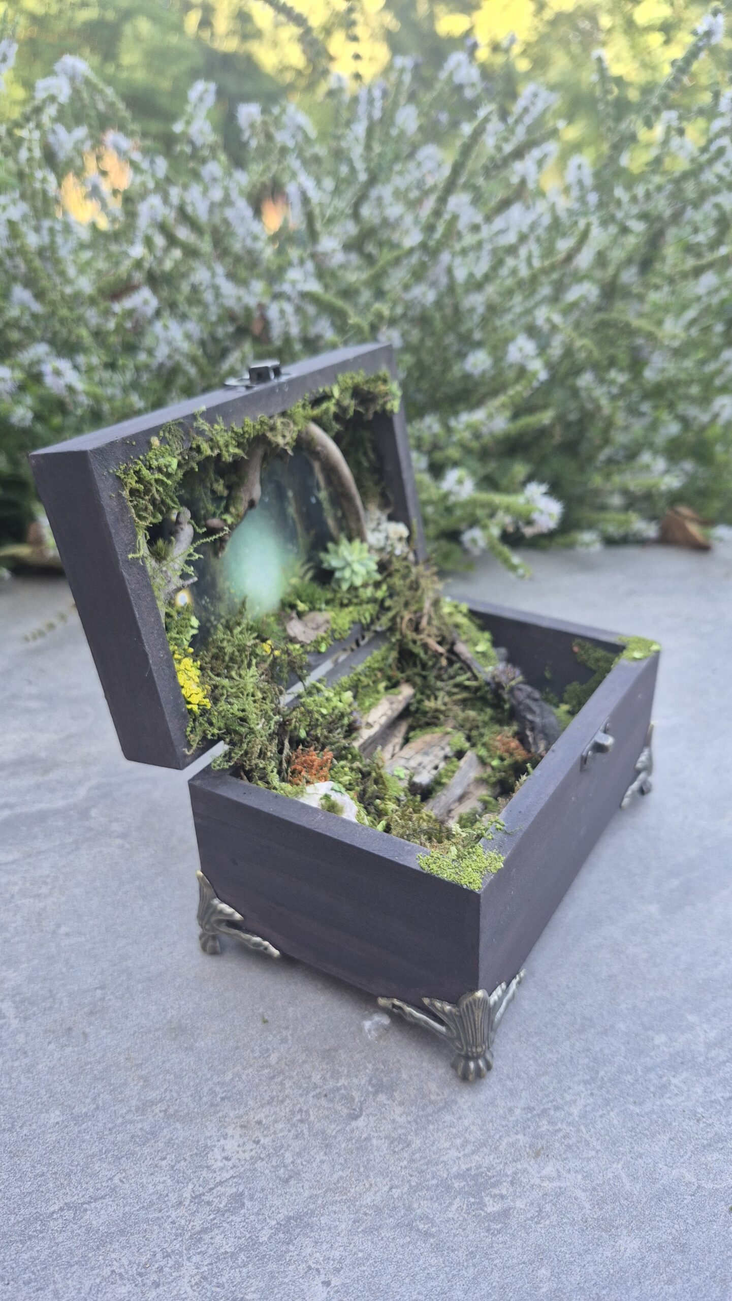 Hidden Forest Box (with lights) - Image 12