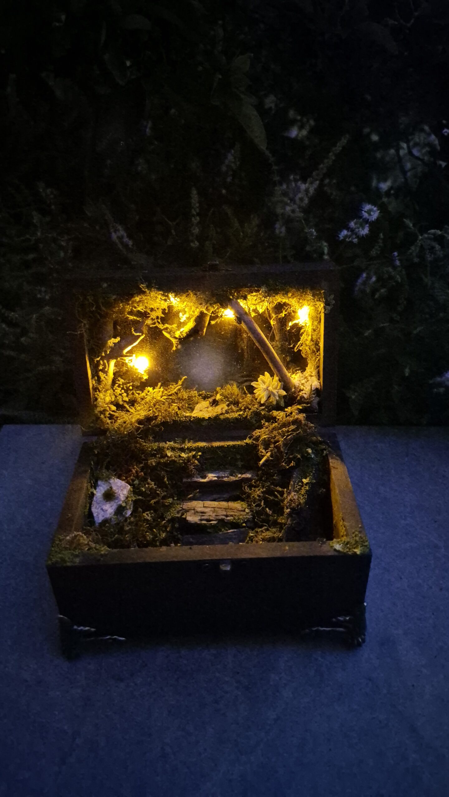 Hidden Forest Box (with lights) - Image 16