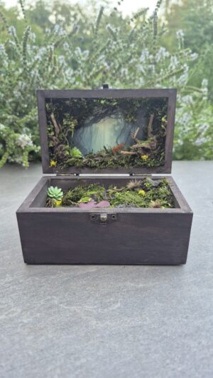 Hidden Forest Box
