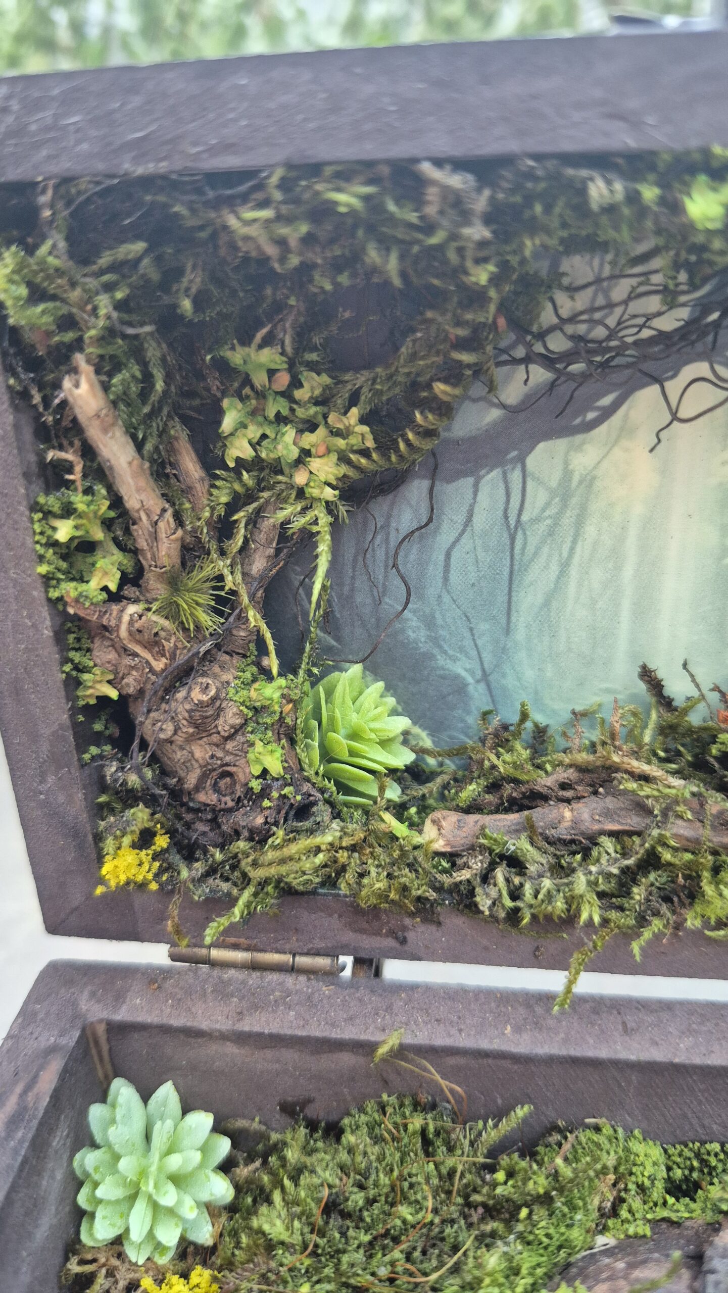 Hidden Forest Box - Image 3