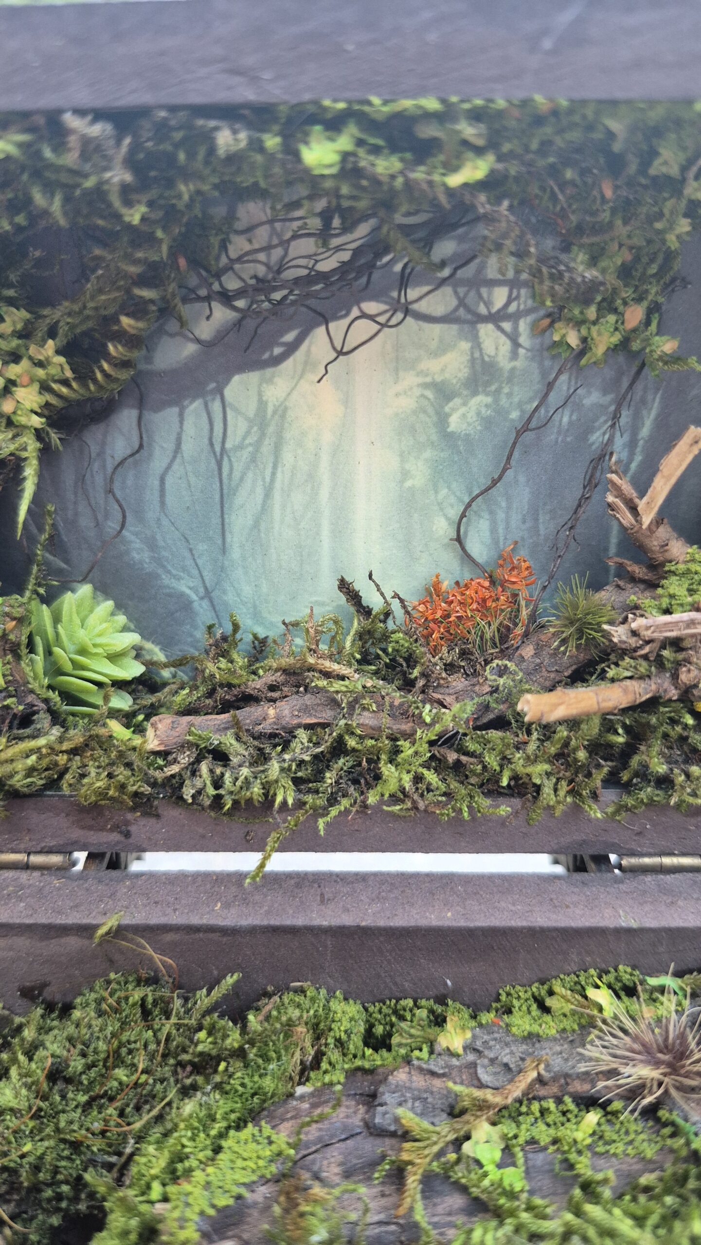 Hidden Forest Box - Image 4