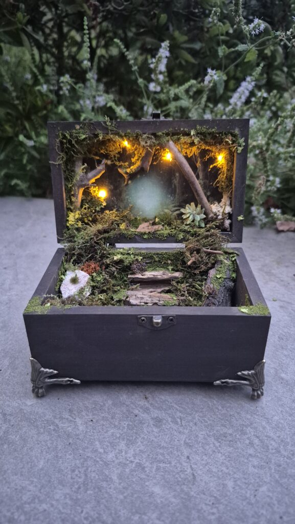 Hidden Forest Box (with lights)