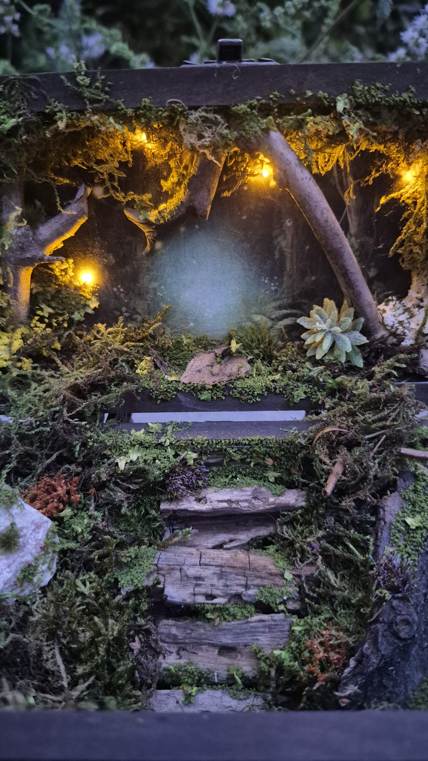 Hidden Forest Box (with lights) - Image 13