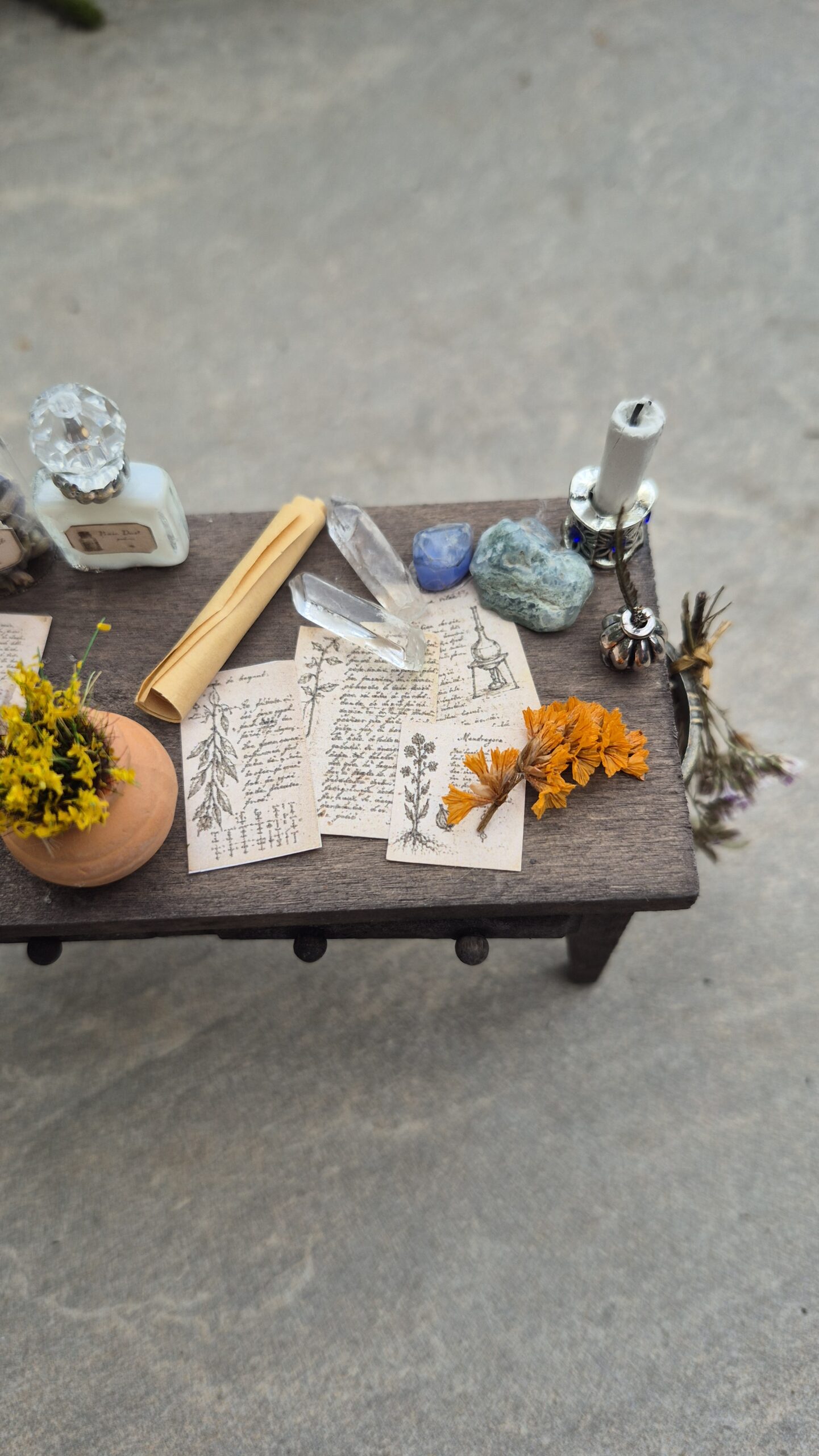 Herbalist's Worktable - Image 5