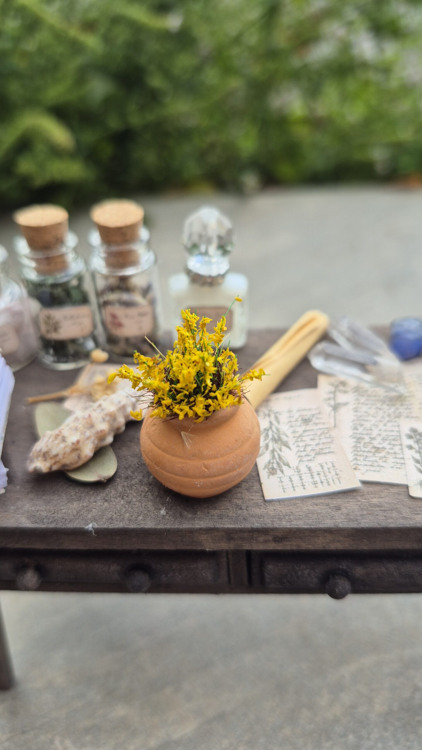 Herbalist's Worktable - Image 7
