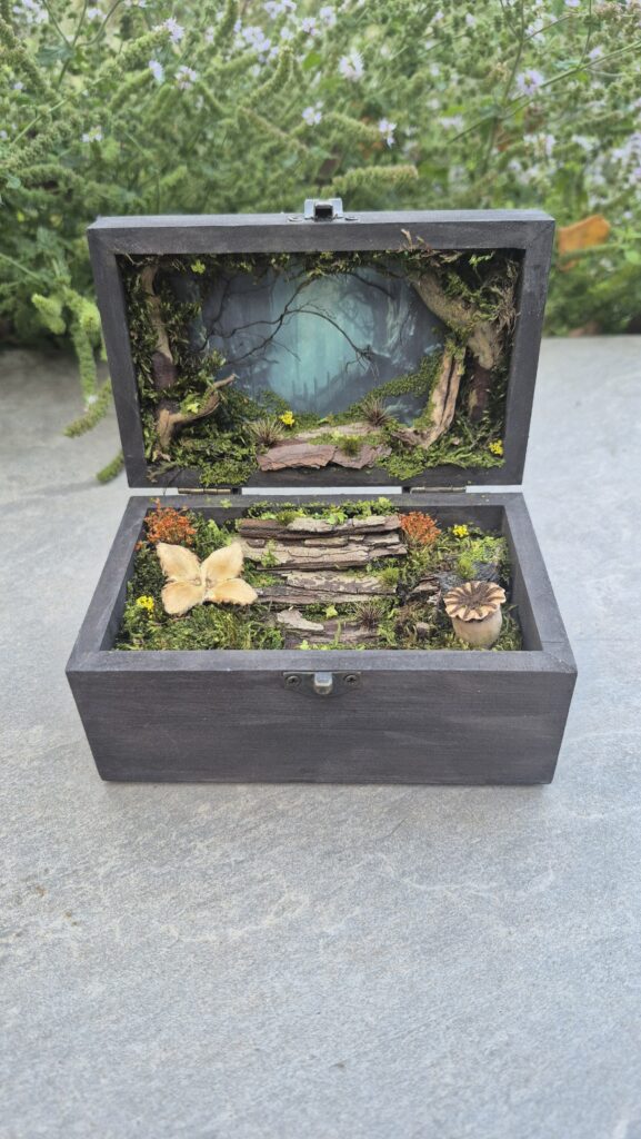 Hidden Forest Box