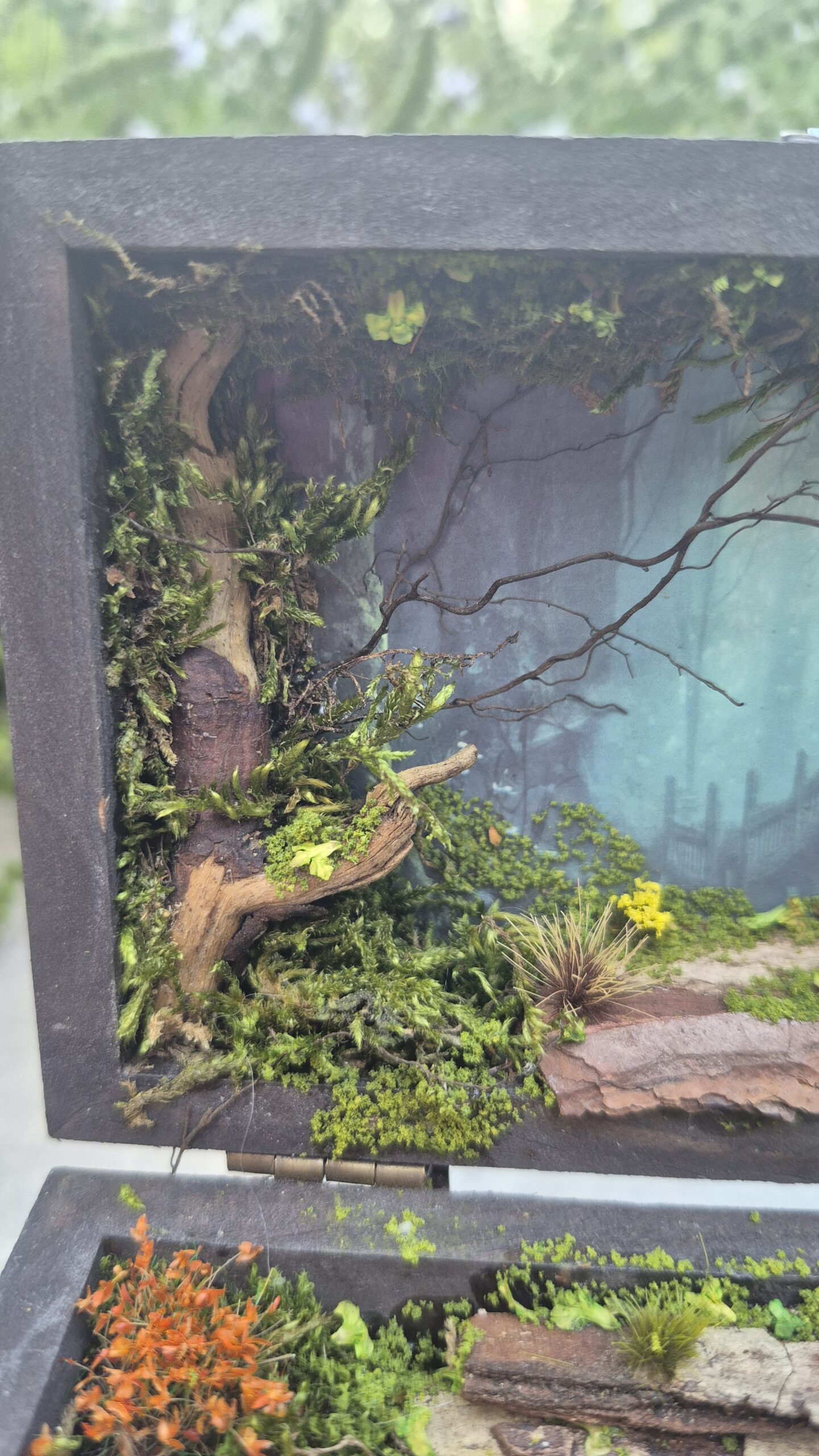 Hidden Forest Box - Image 4