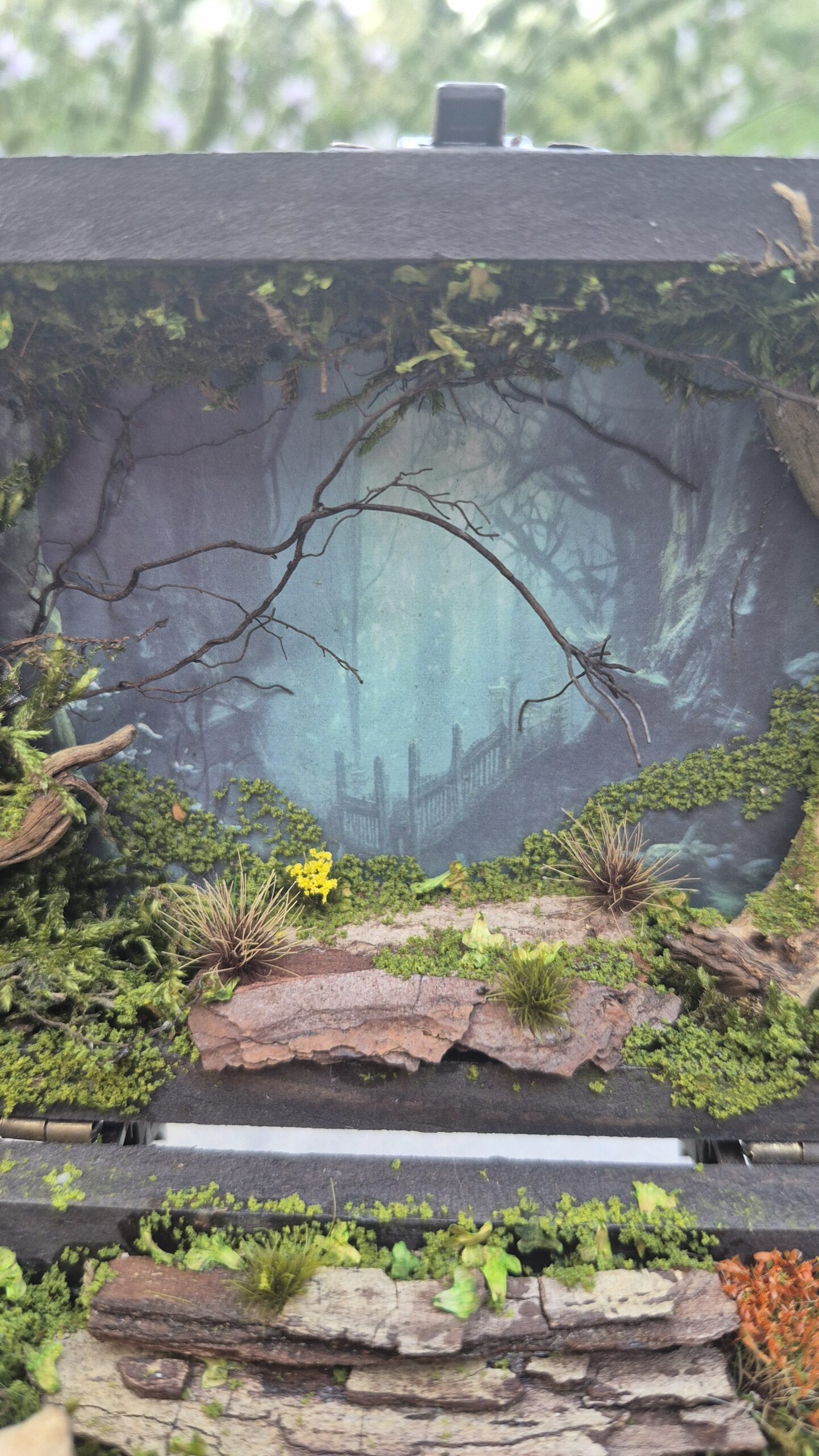 Hidden Forest Box - Image 5
