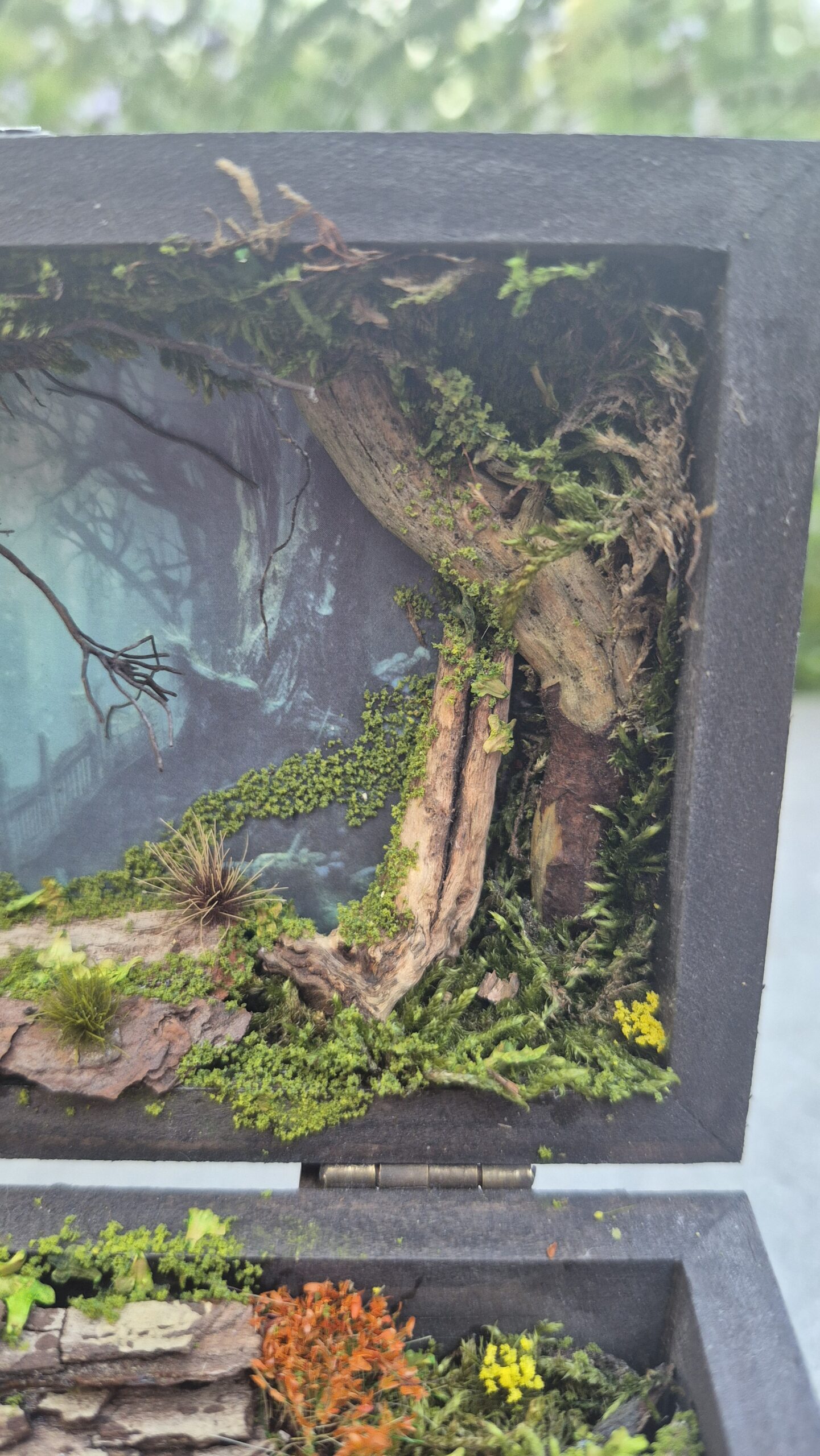 Hidden Forest Box - Image 6