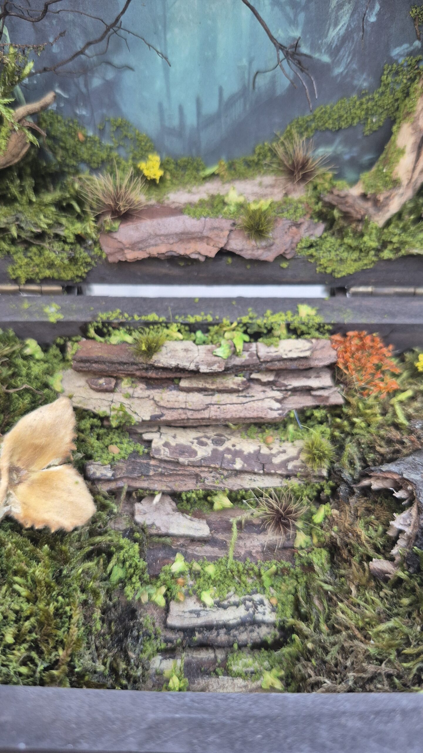 Hidden Forest Box - Image 8