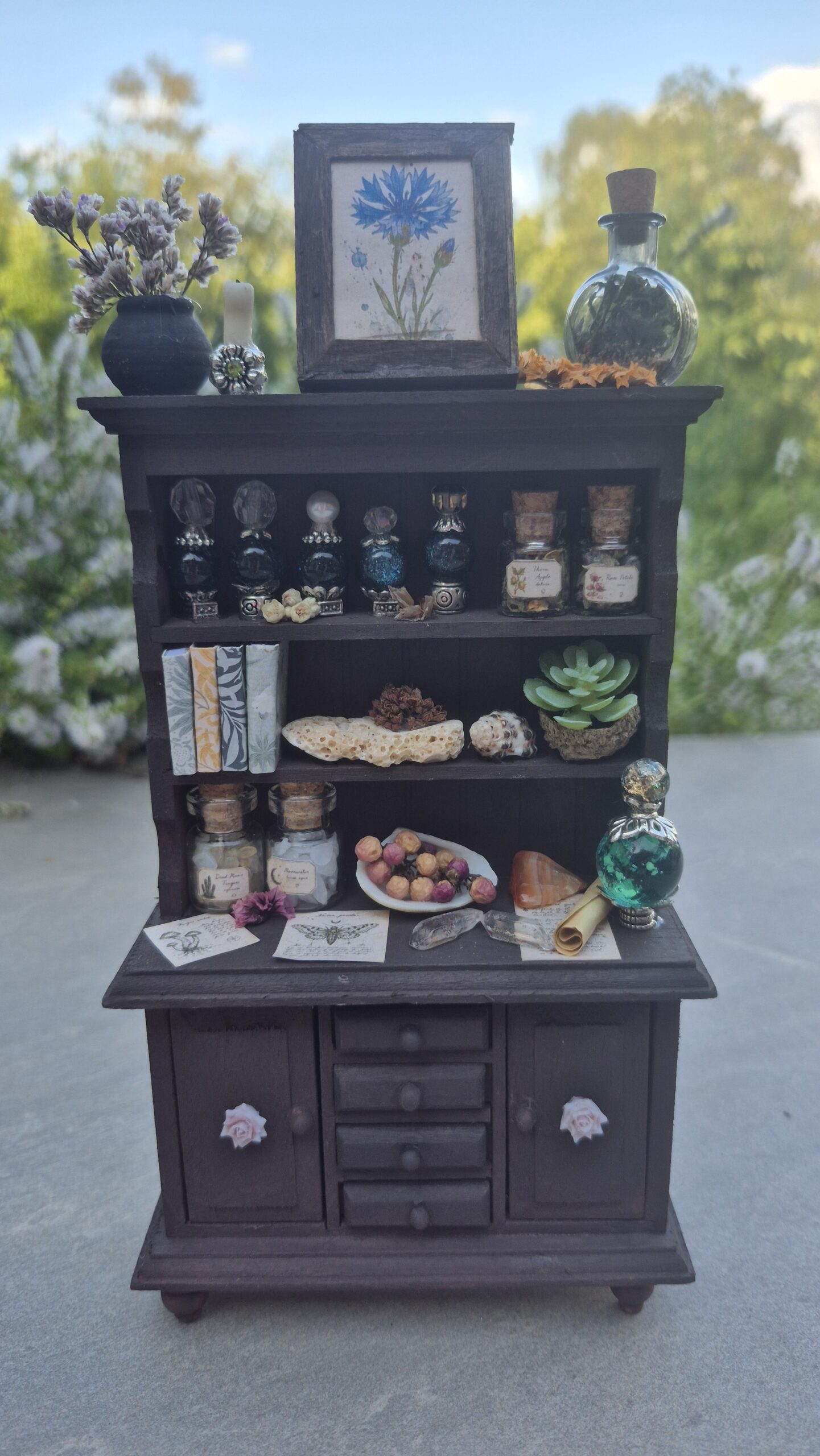 Botanical curiosity cabinet - Image 4
