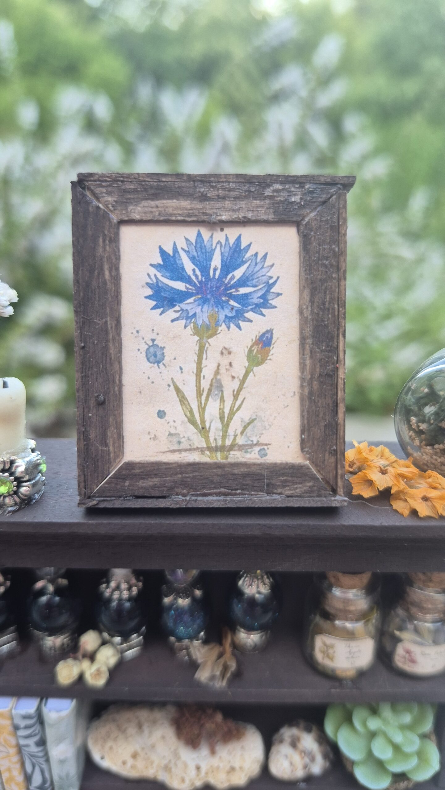 Botanical curiosity cabinet - Image 6
