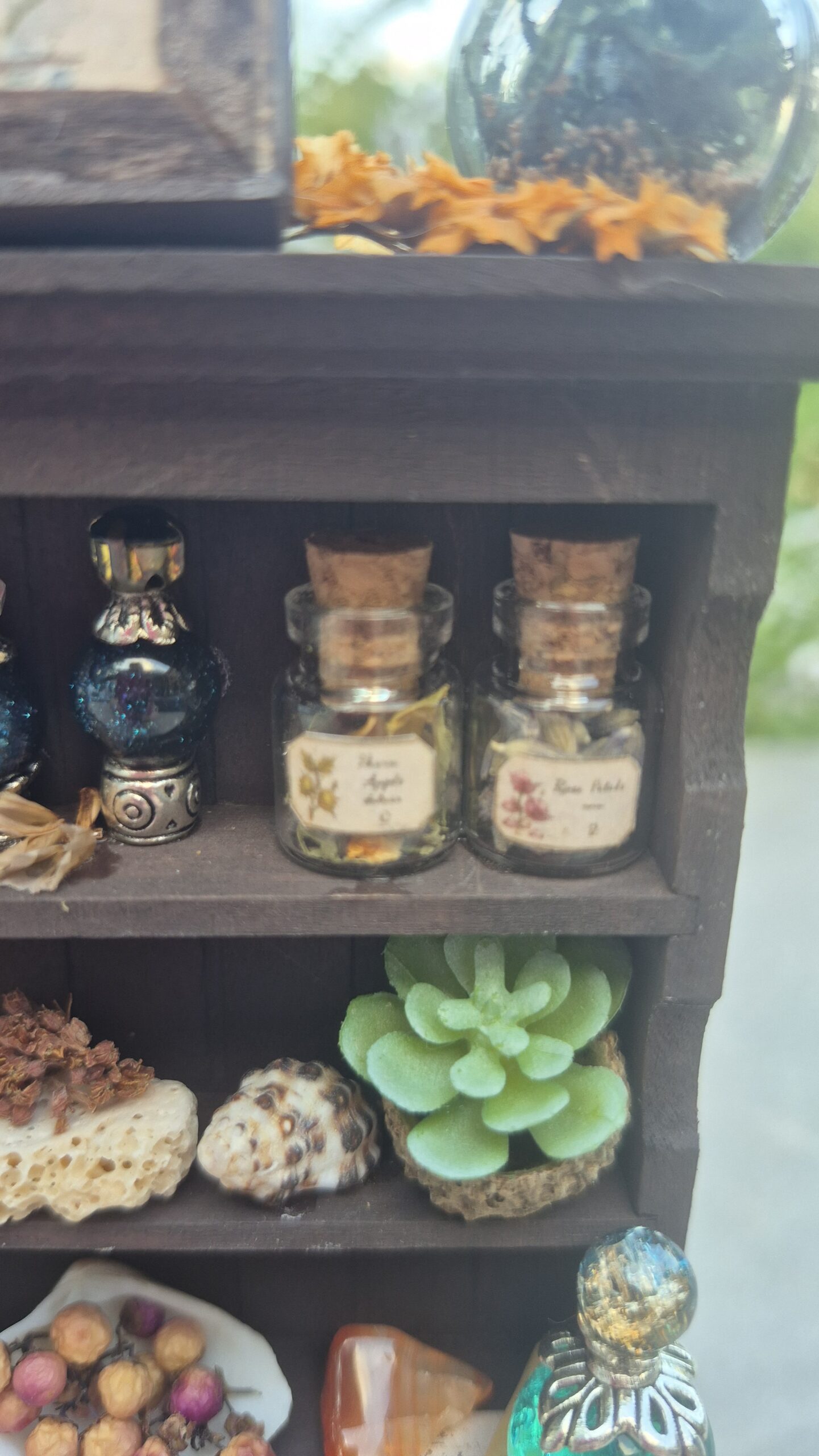 Botanical curiosity cabinet - Image 8