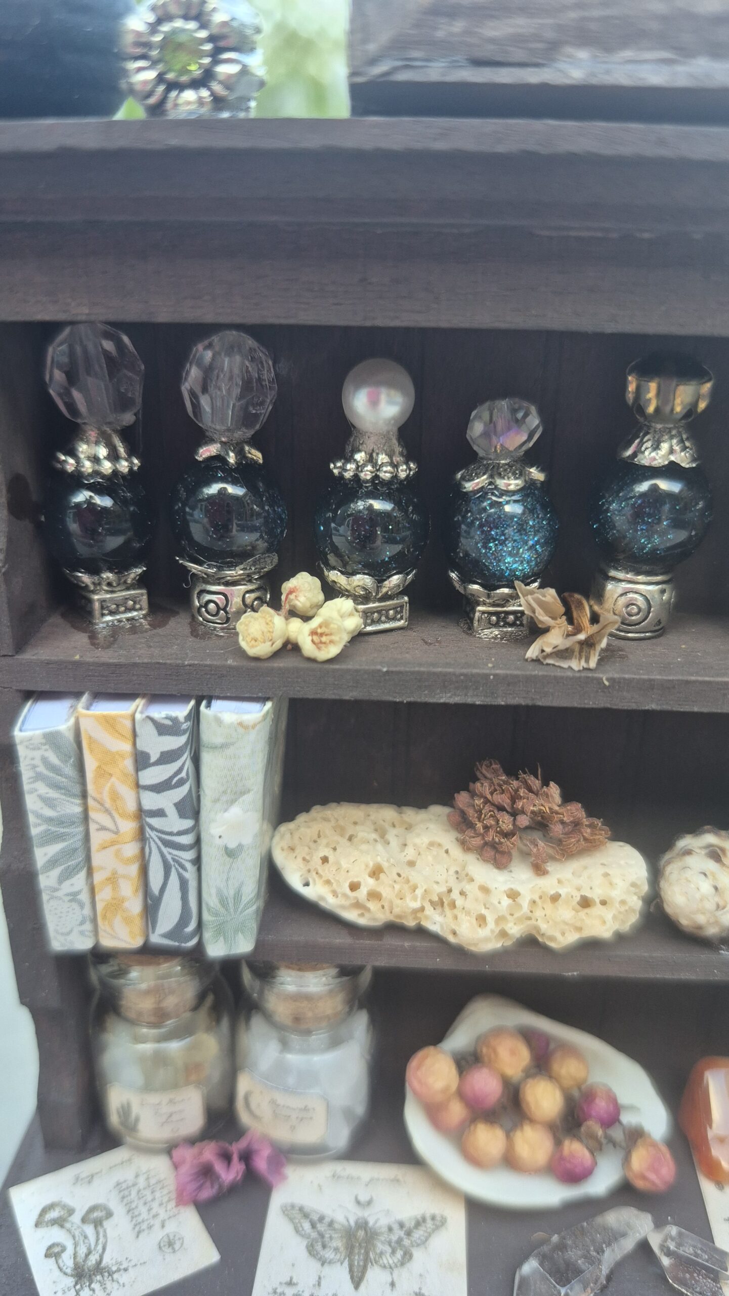 Botanical curiosity cabinet - Image 9