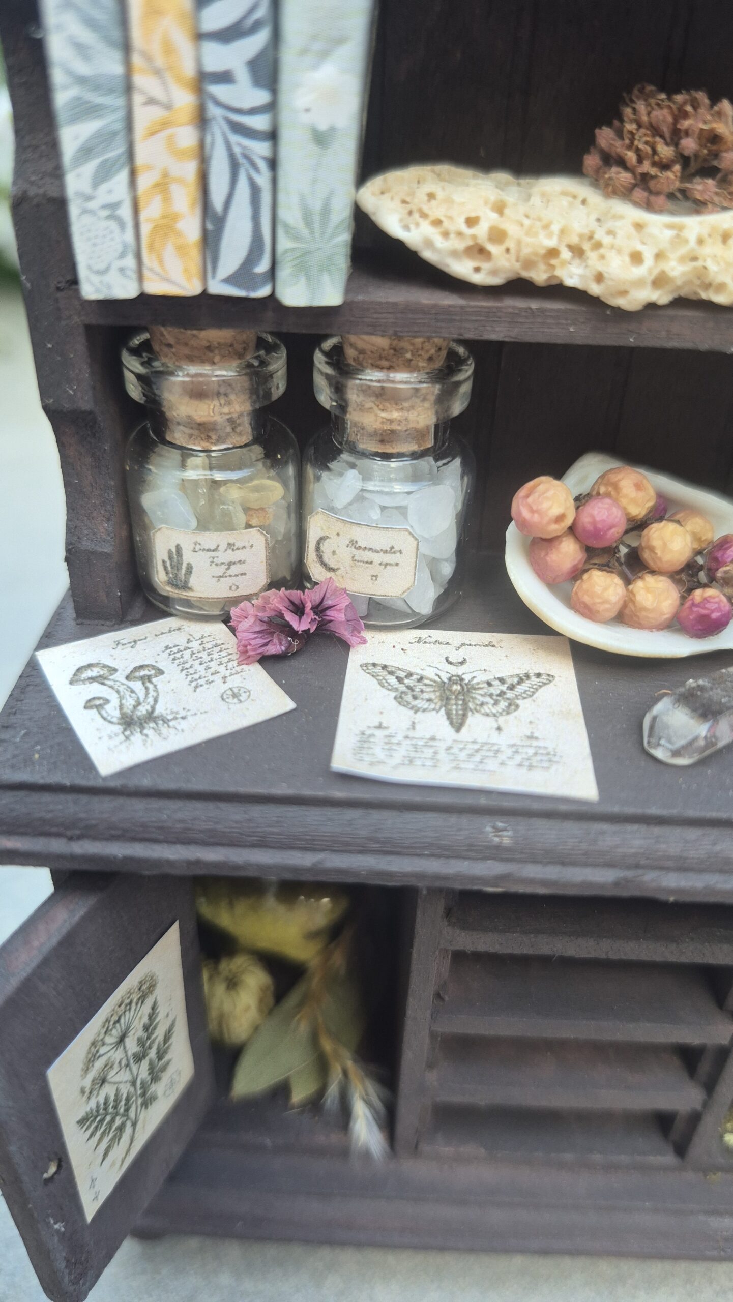 Botanical curiosity cabinet - Image 11