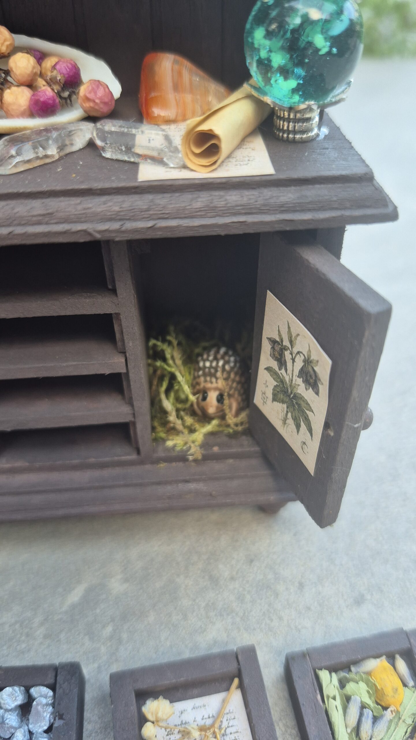 Botanical curiosity cabinet - Image 16