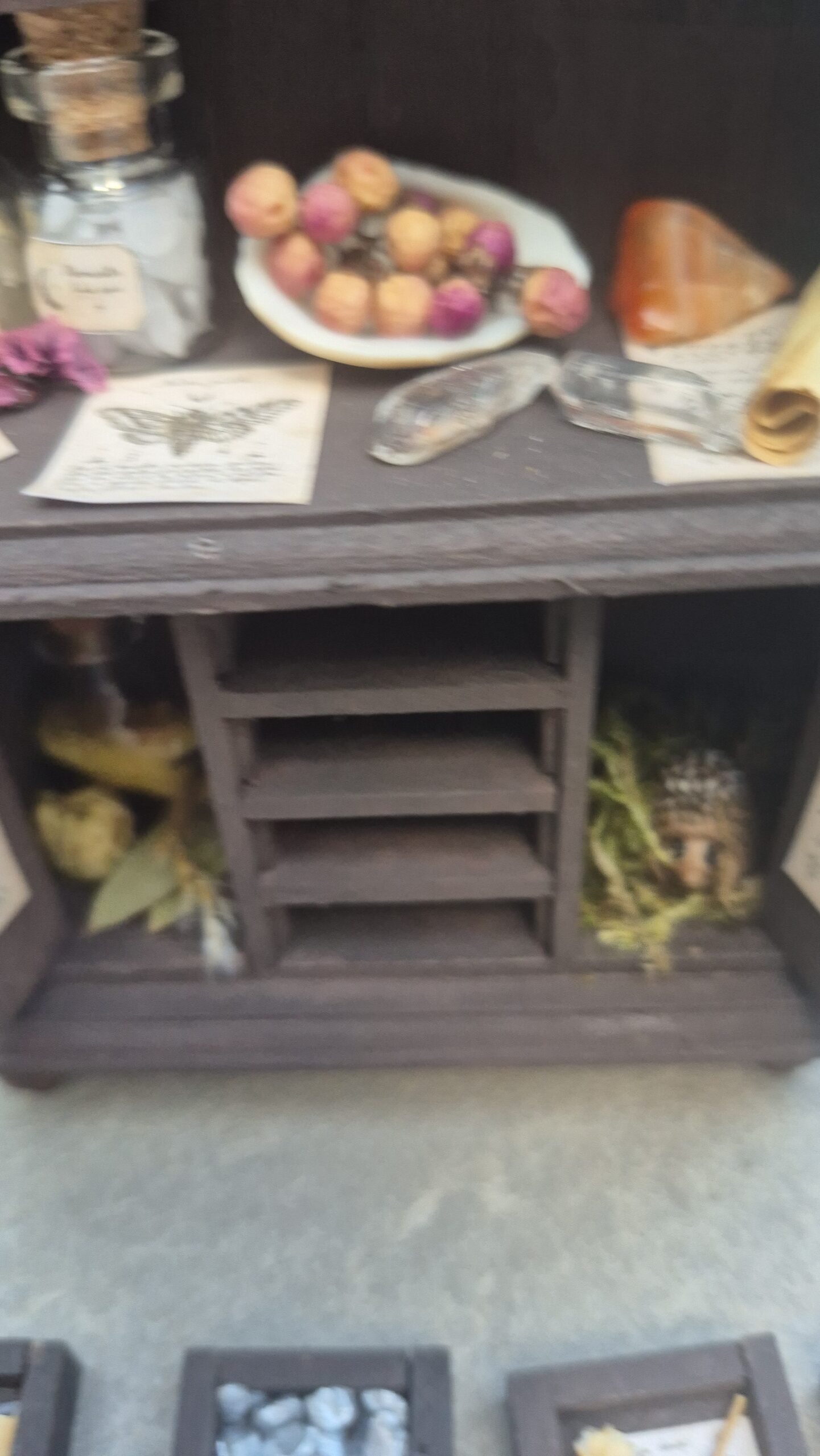 Botanical curiosity cabinet - Image 13