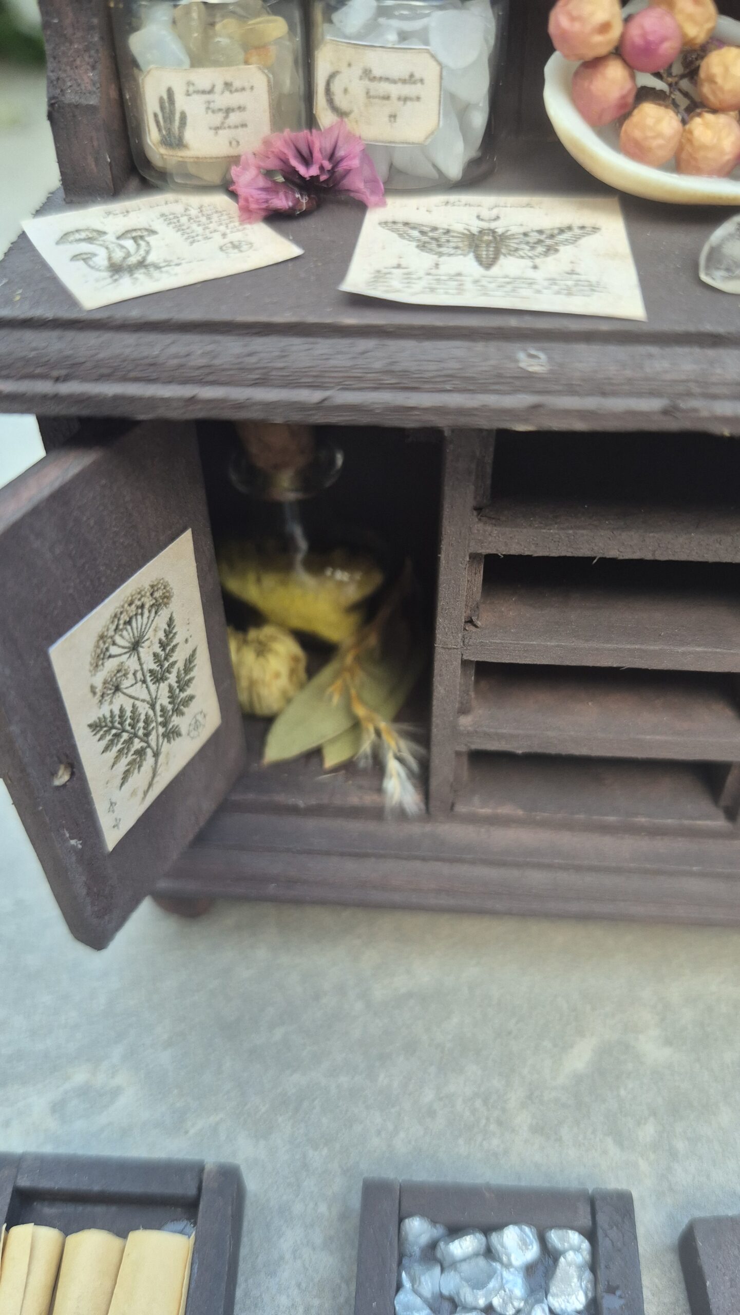 Botanical curiosity cabinet - Image 12