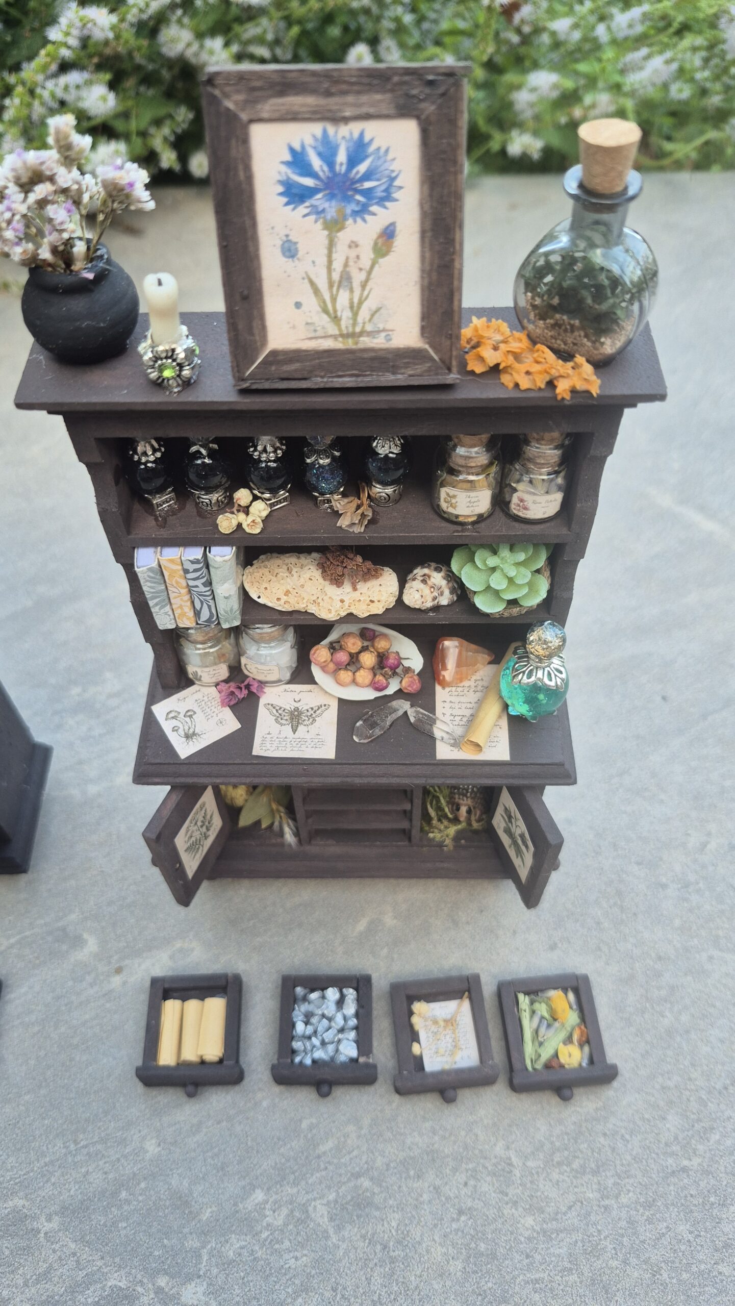 Botanical curiosity cabinet - Image 2