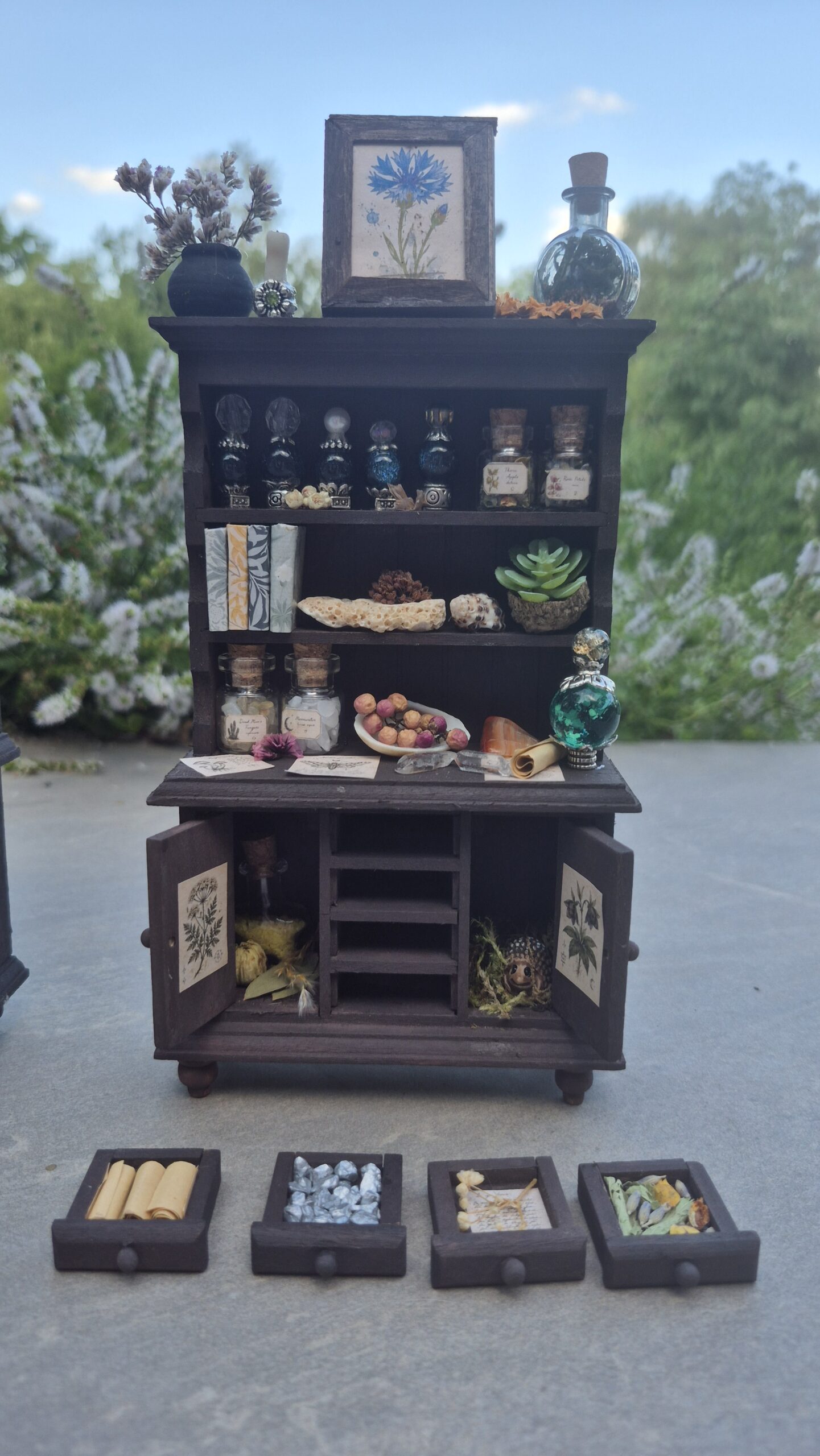 Botanical curiosity cabinet - Image 3