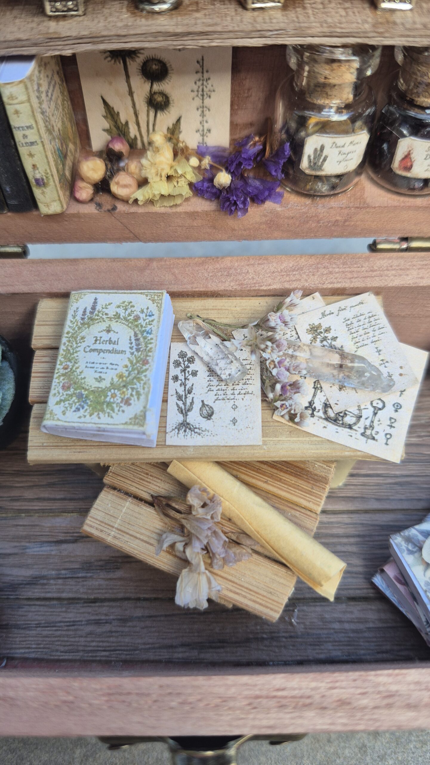 Apothecary Curiosity Box (purple/pink themed) - Image 7