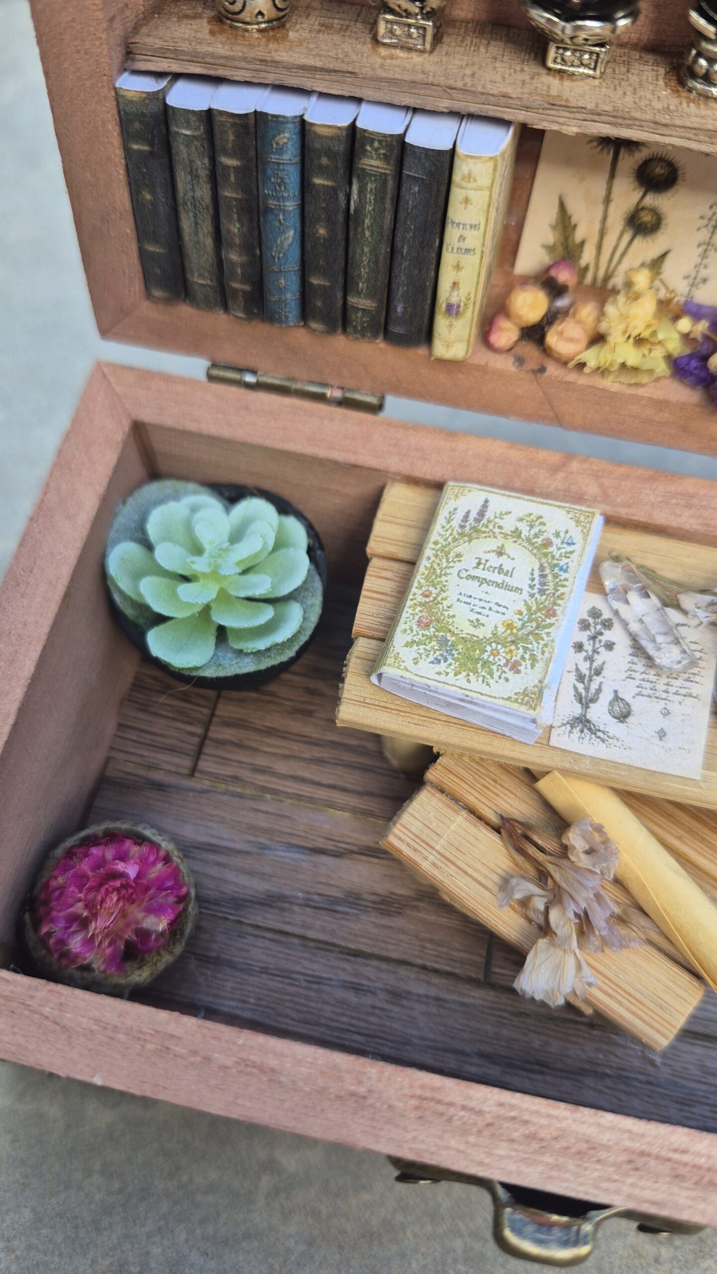 Apothecary Curiosity Box (purple/pink themed) - Image 6