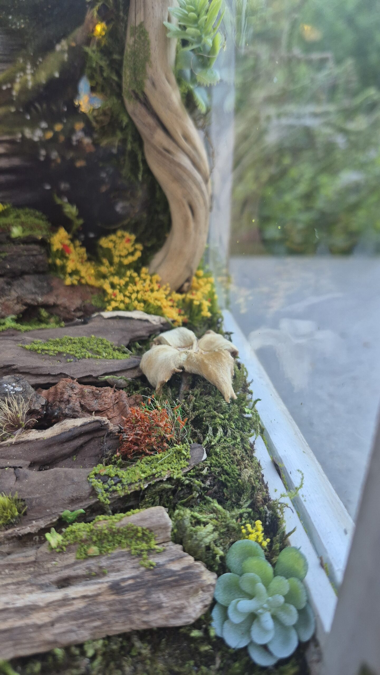 Fairy Portal Lantern - Image 14