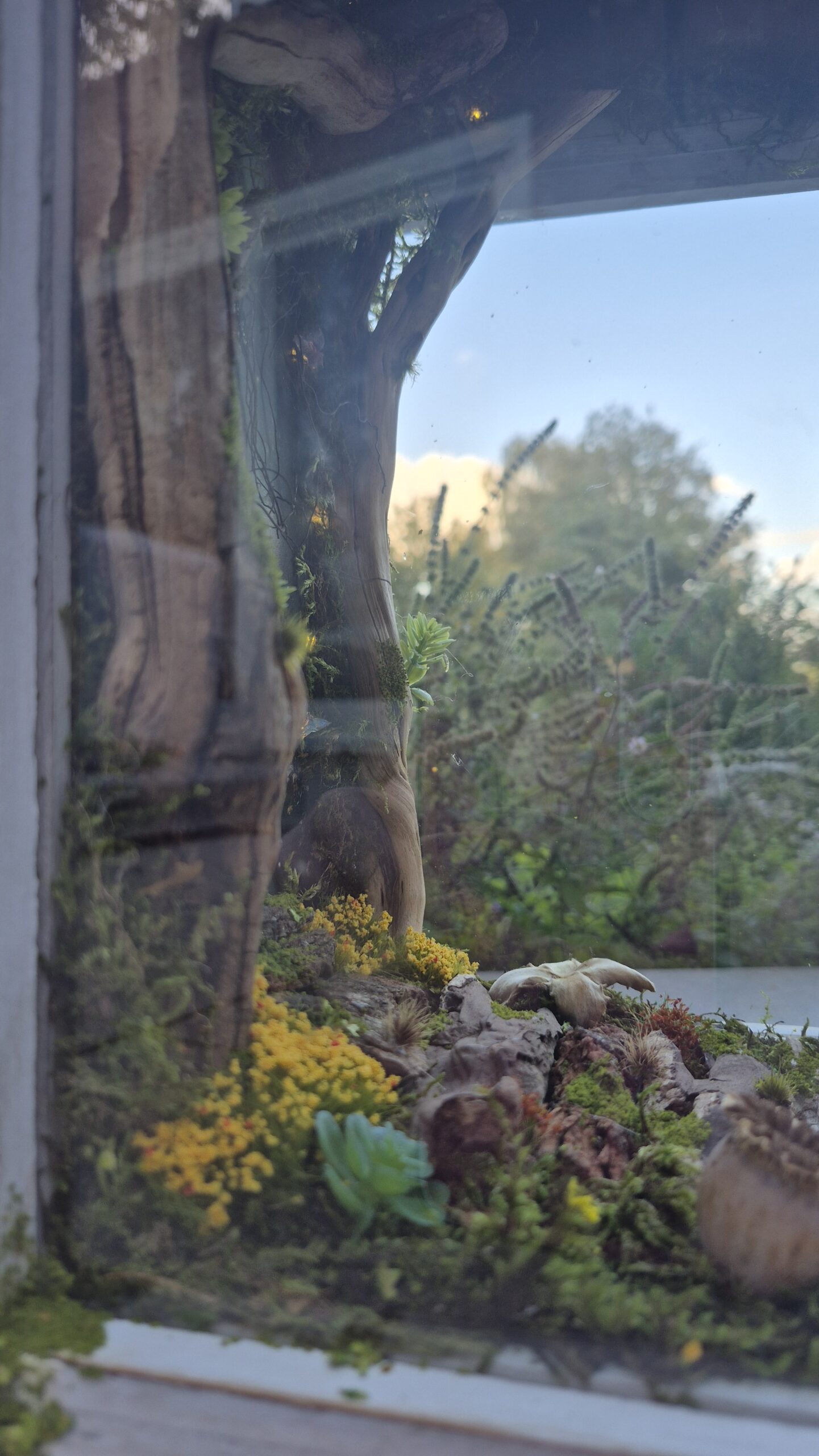 Fairy Portal Lantern - Image 16
