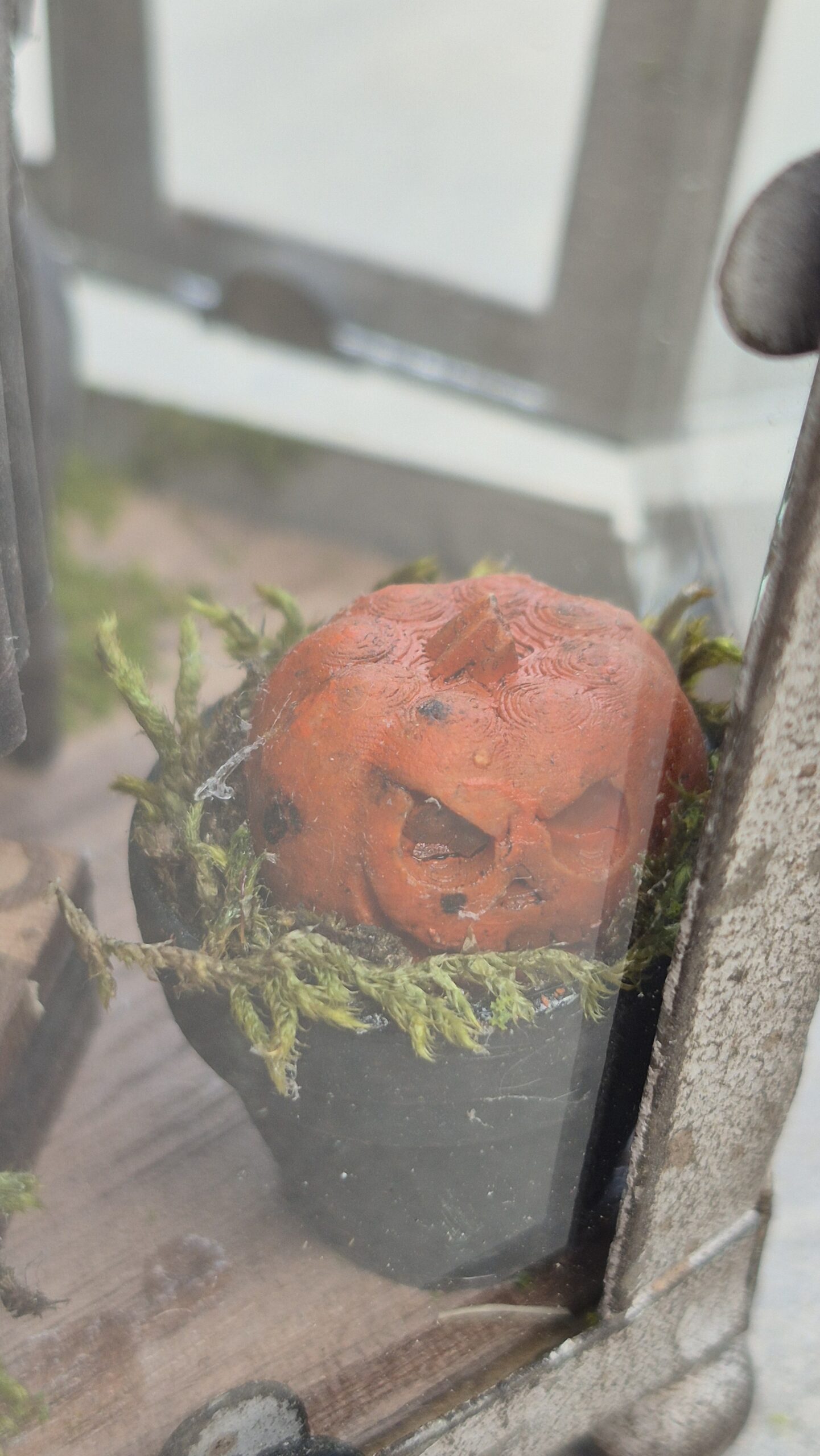 Witch's Workshop - Image 7